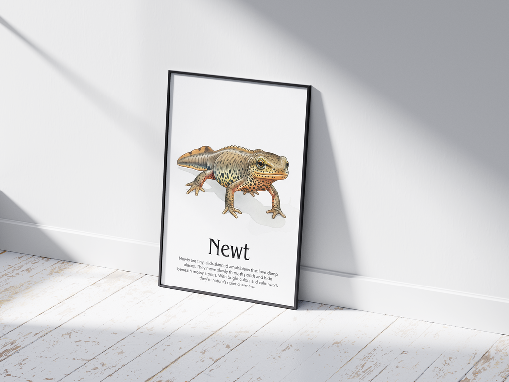Detailed hand-illustrated Educational Newt Animal Poster for the letter 'N', printed on semi-gloss sustainable paper. Perfect wall art for children's rooms, nurseries, or playrooms with an educational and nature-inspired aesthetic.
