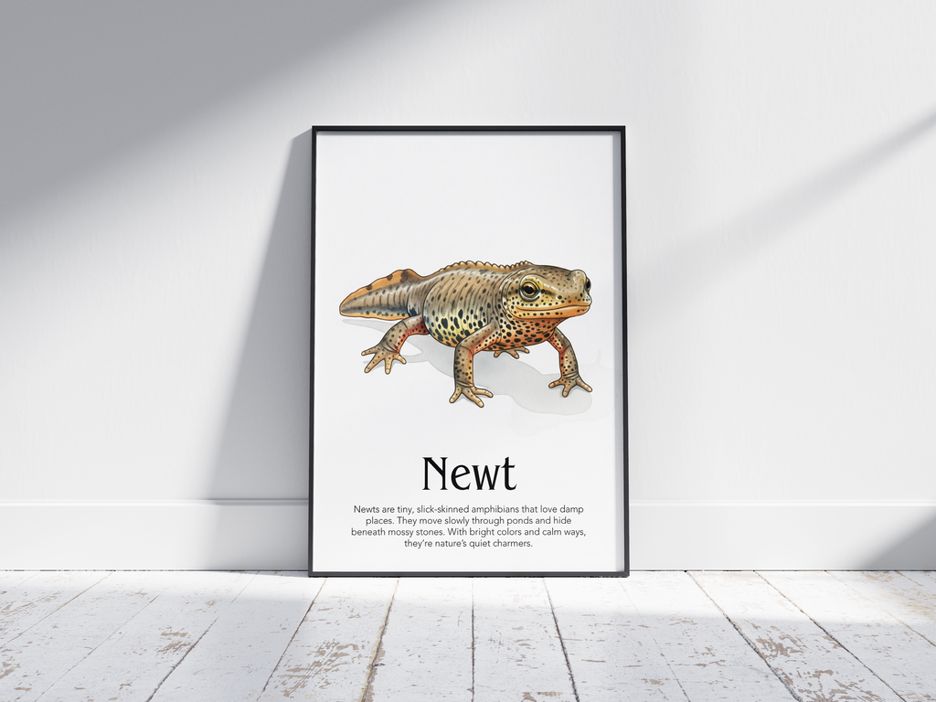 Detailed hand-illustrated Educational Newt Animal Poster for the letter 'N', printed on semi-gloss sustainable paper. Perfect wall art for children's rooms, nurseries, or playrooms with an educational and nature-inspired aesthetic.