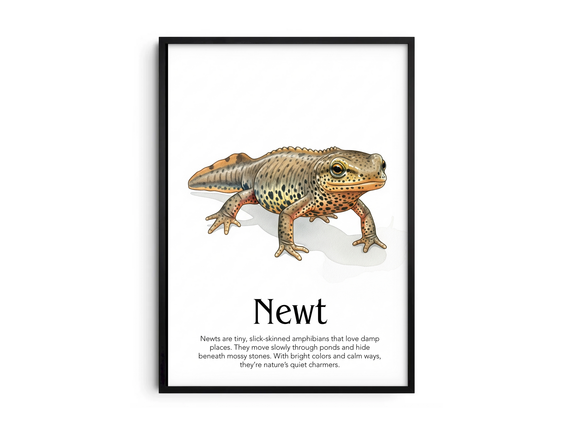 Detailed hand-illustrated Educational Newt Animal Poster for the letter 'N', printed on semi-gloss sustainable paper. Perfect wall art for children's rooms, nurseries, or playrooms with an educational and nature-inspired aesthetic.