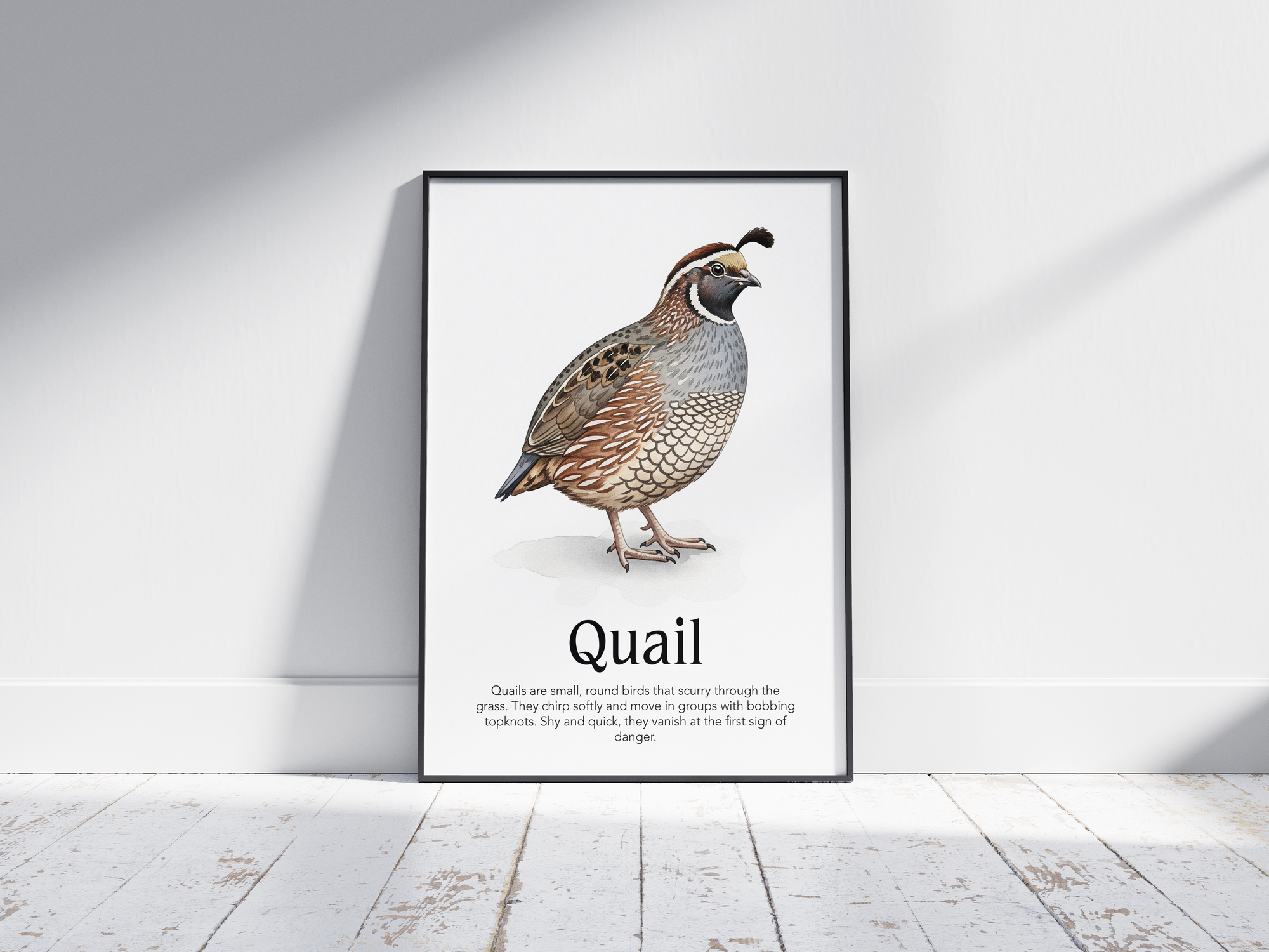 Detailed hand-illustrated Educational Quail Animal Poster for the letter 'Q', printed on semi-gloss sustainable paper. Perfect wall art for children's rooms, nurseries, or playrooms with an educational and nature-inspired aesthetic.