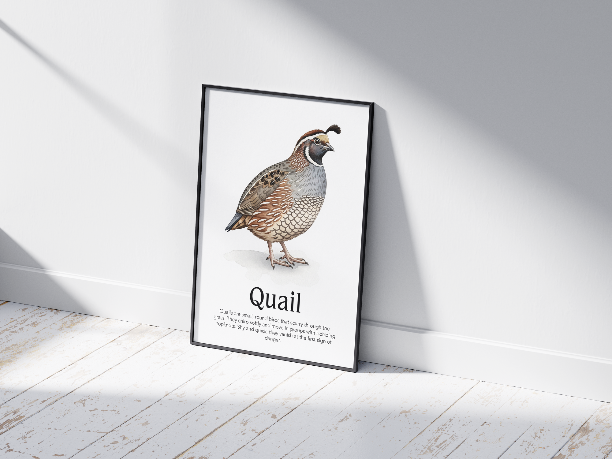 Detailed hand-illustrated Educational Quail Animal Poster for the letter 'Q', printed on semi-gloss sustainable paper. Perfect wall art for children's rooms, nurseries, or playrooms with an educational and nature-inspired aesthetic.