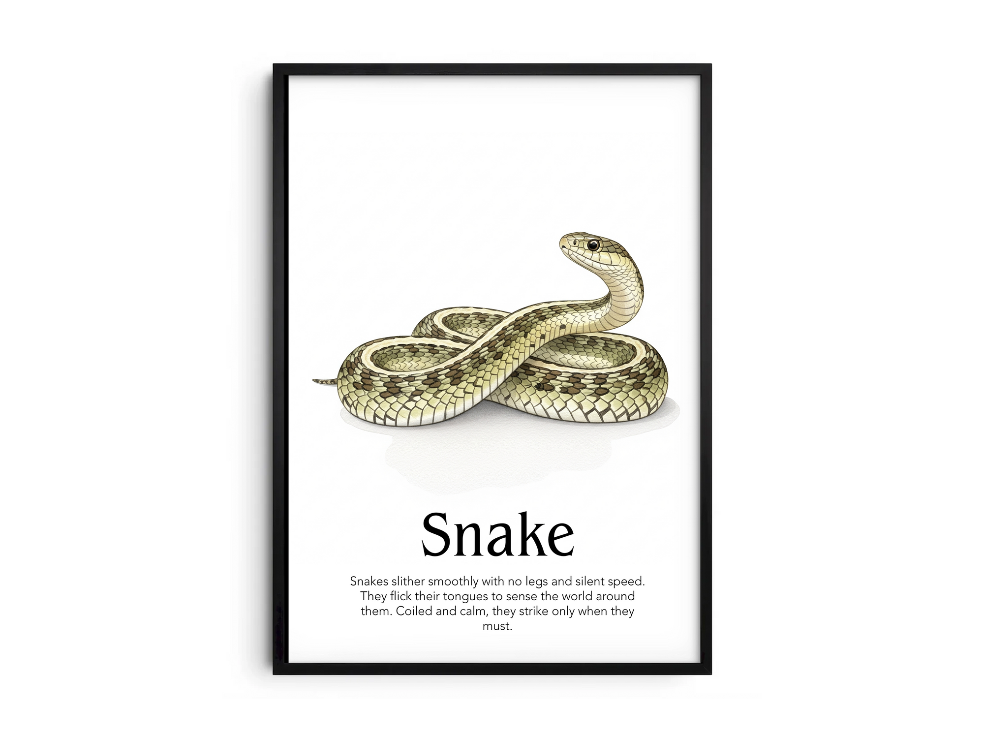 Detailed hand-illustrated Educational Snake Animal Poster for the letter 'S', printed on semi-gloss sustainable paper. Perfect wall art for children's rooms, nurseries, or playrooms with an educational and nature-inspired aesthetic.