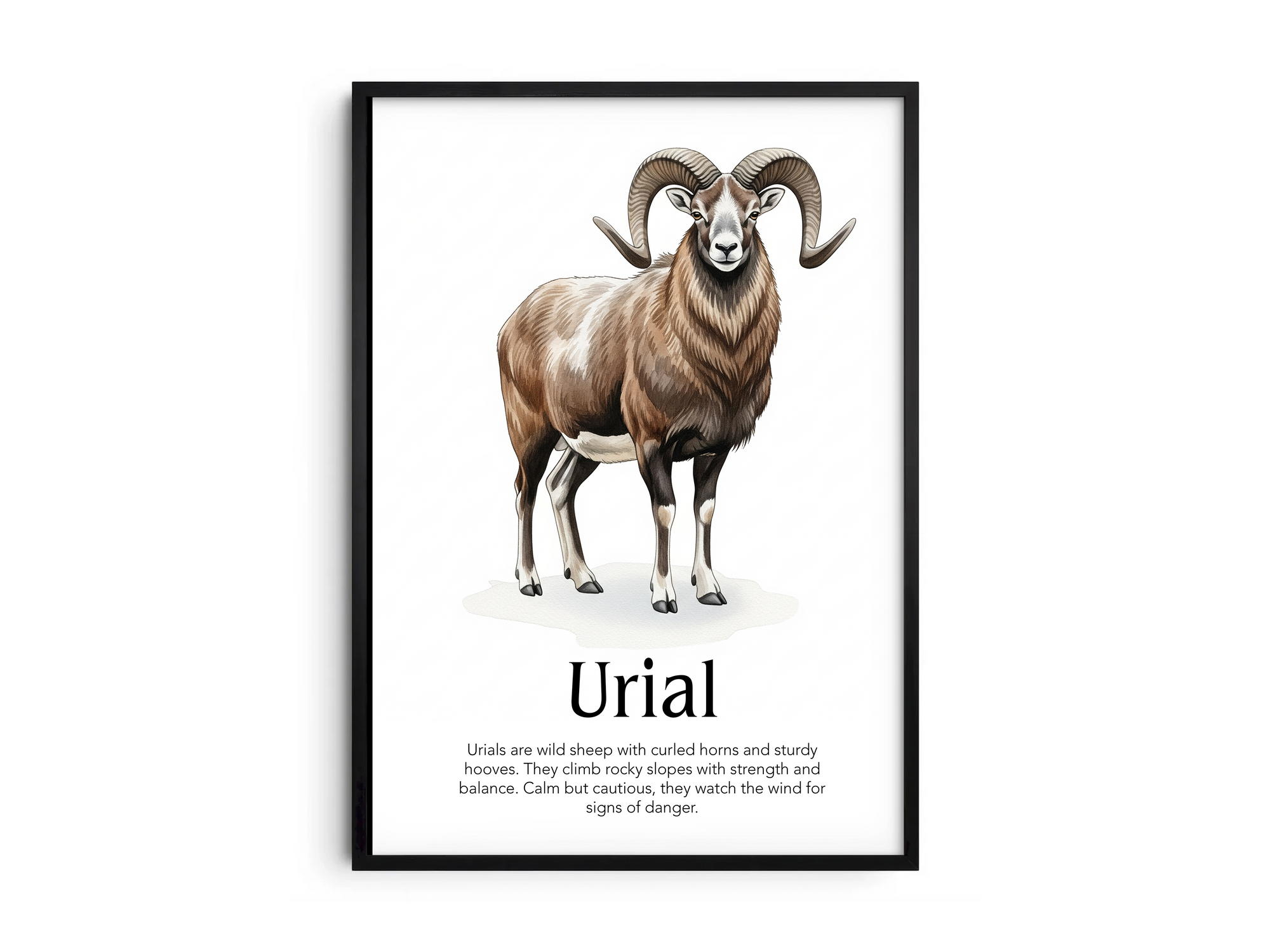 Detailed hand-illustrated Educational Urial Animal Poster for the letter 'U', printed on semi-gloss sustainable paper. Perfect wall art for children's rooms, nurseries, or playrooms with an educational and nature-inspired aesthetic.