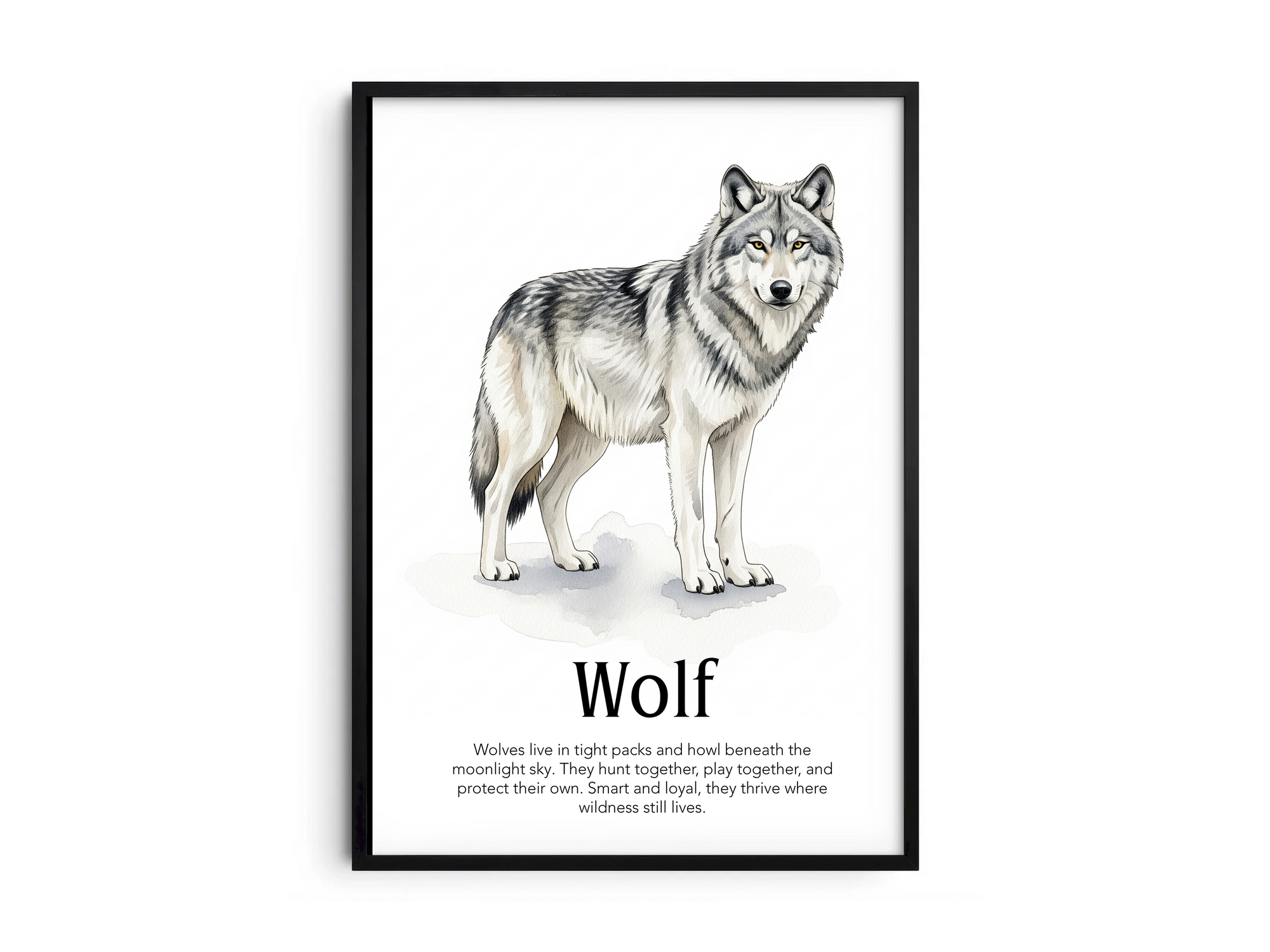 Detailed hand-illustrated Educational Wolf Animal Poster for the letter 'W', printed on semi-gloss sustainable paper. Perfect wall art for children's rooms, nurseries, or playrooms with an educational and nature-inspired aesthetic.