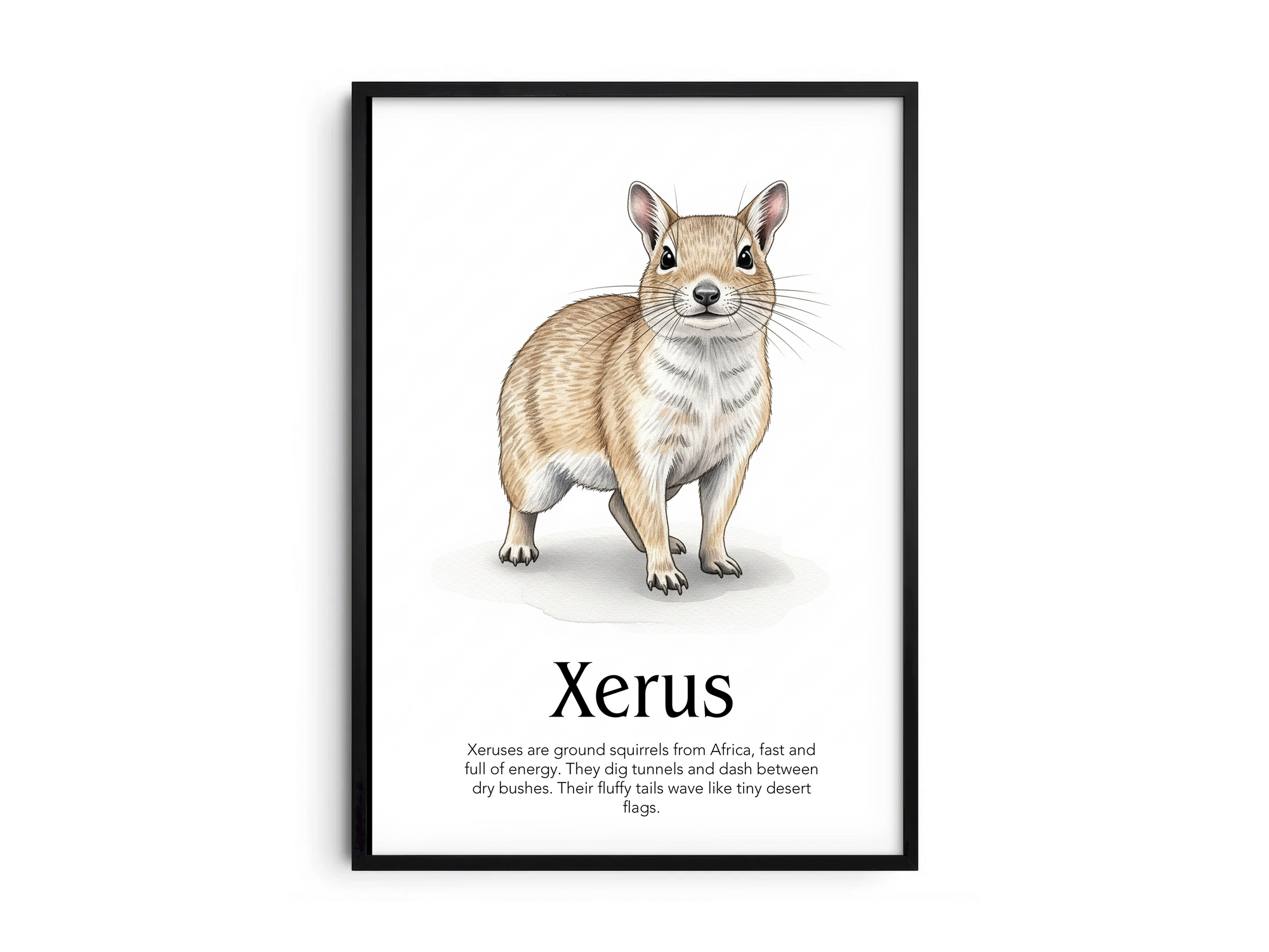 Detailed hand-illustrated Educational Xerus Animal Poster for the letter 'X', printed on semi-gloss sustainable paper. Perfect wall art for children's rooms, nurseries, or playrooms with an educational and nature-inspired aesthetic.