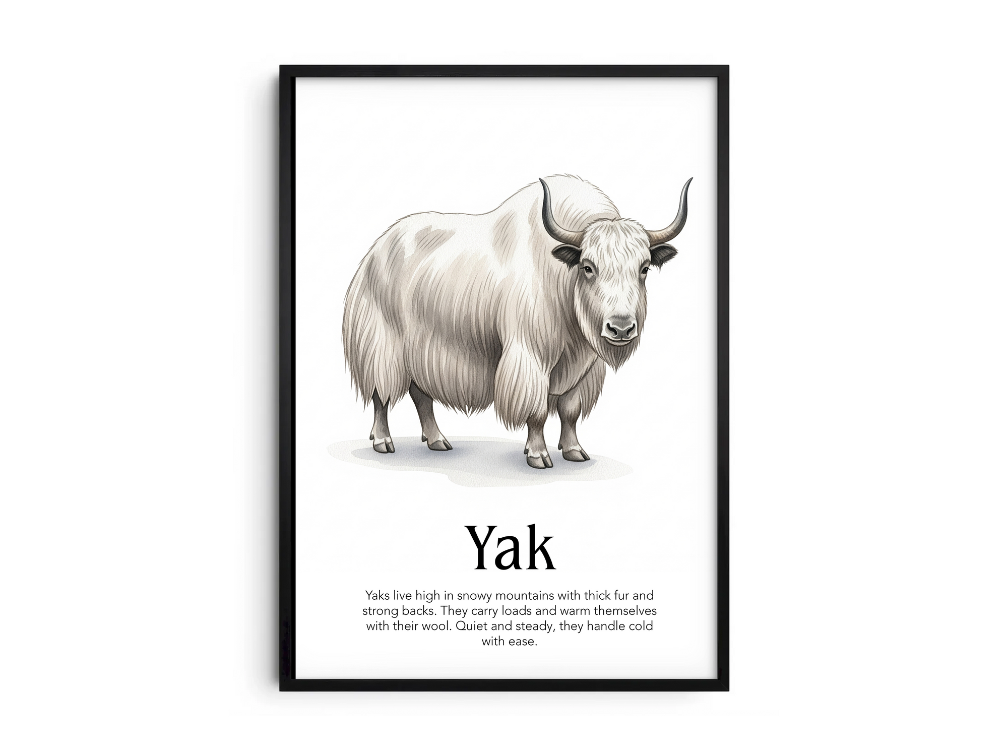 Detailed hand-illustrated Educational Yak Animal Poster for the letter 'Y', printed on semi-gloss sustainable paper. Perfect wall art for children's rooms, nurseries, or playrooms with an educational and nature-inspired aesthetic.