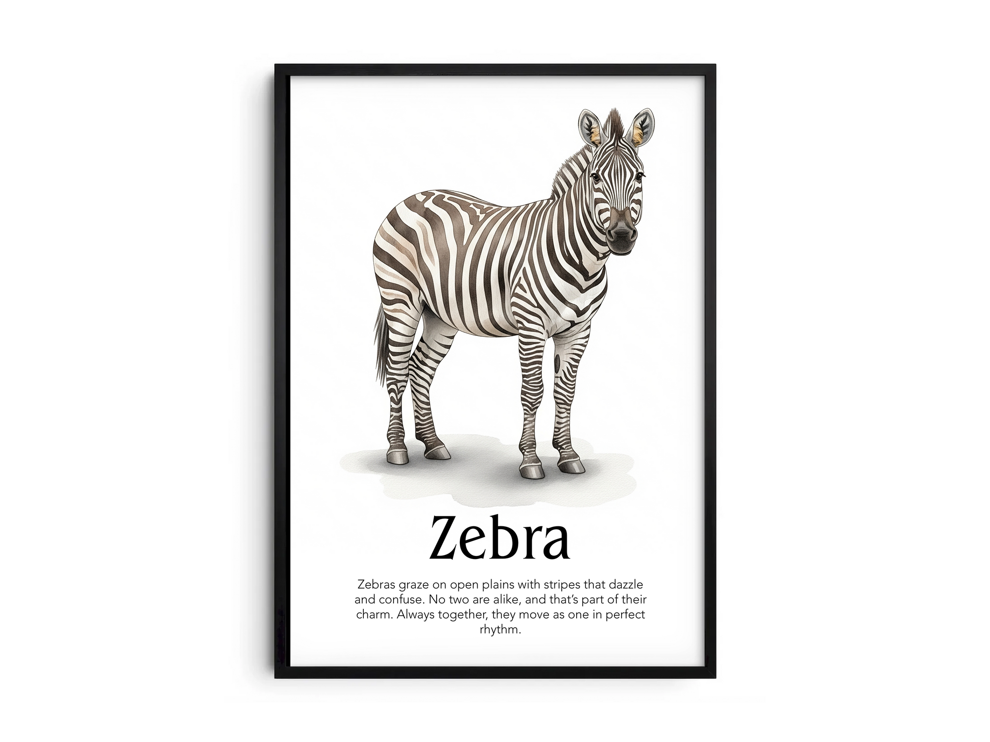 Detailed hand-illustrated Educational Zebra Animal Poster for the letter 'Z', printed on semi-gloss sustainable paper. Perfect wall art for children's rooms, nurseries, or playrooms with an educational and nature-inspired aesthetic.