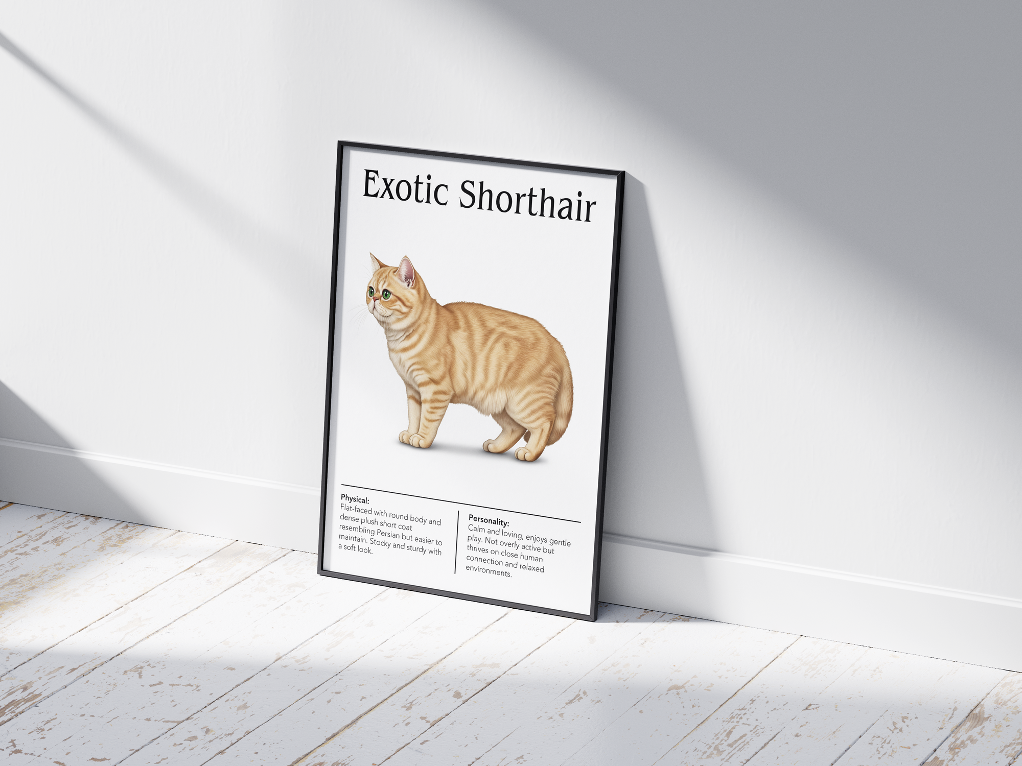 Sweet Exotic Shorthair cat breed poster featuring a detailed illustration of the cat with its plush coat and gentle expression, printed on semi-gloss sustainable paper. Perfect wall art for bedrooms, living rooms, or cozy interiors with a comforting and serene aesthetic.