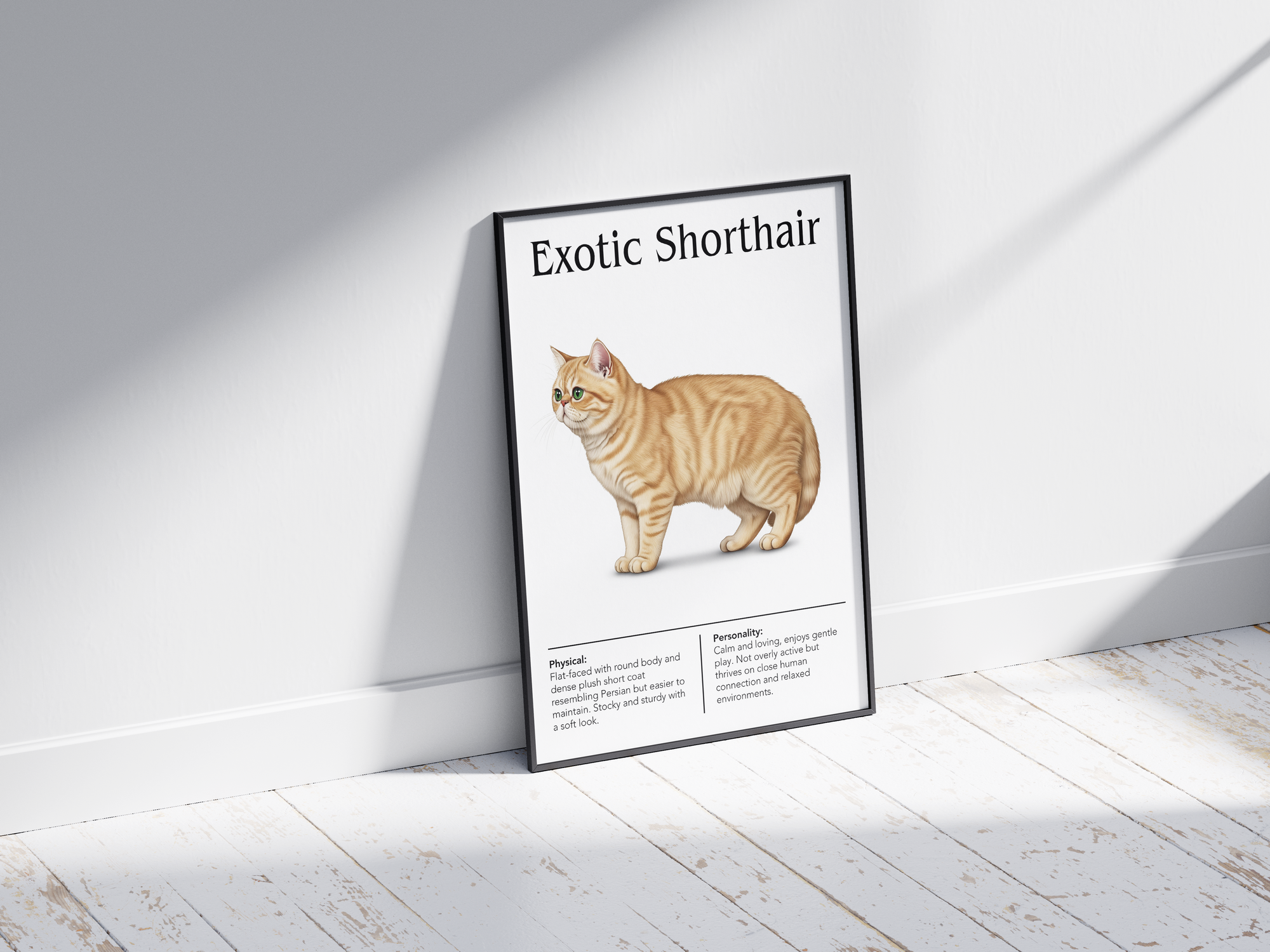 Sweet Exotic Shorthair cat breed poster featuring a detailed illustration of the cat with its plush coat and gentle expression, printed on semi-gloss sustainable paper. Perfect wall art for bedrooms, living rooms, or cozy interiors with a comforting and serene aesthetic.