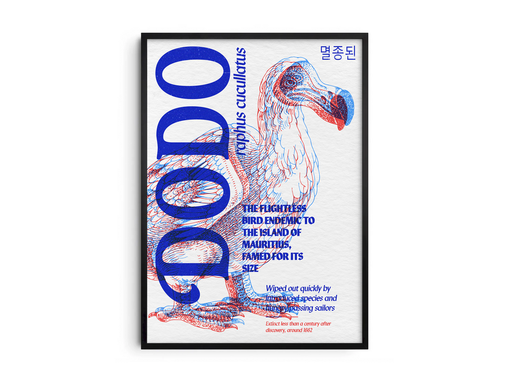 Vibrant anaglyph 3D Dodo poster featuring the extinct Raphus cucullatus in bold blue and red colors. Unique retro-style wall art for offices, studies, or modern interiors with an eclectic or maximalist aesthetic.