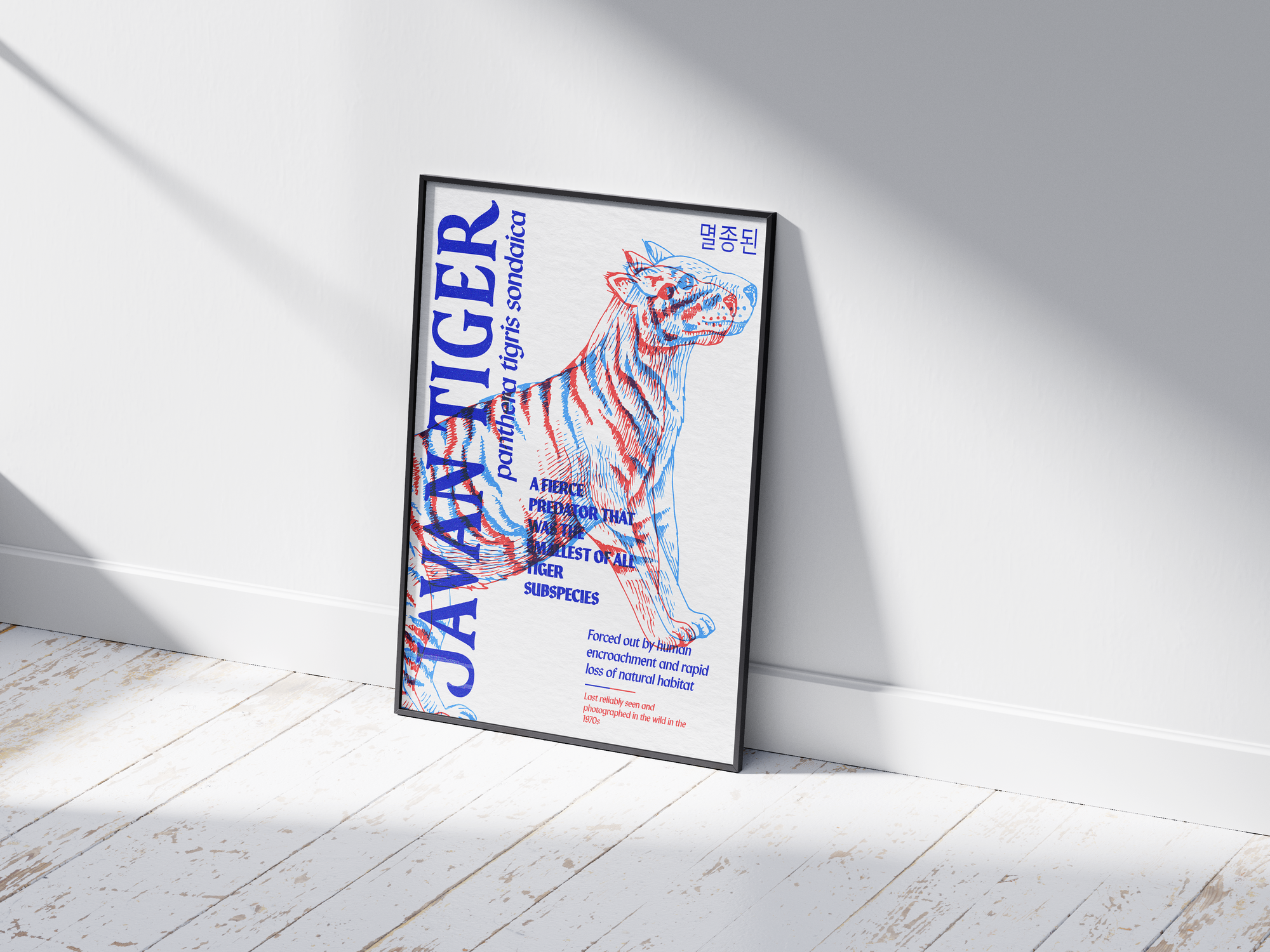 Vibrant anaglyph 3D Javan Tiger poster featuring the extinct feline (Panthera tigris sondaica) in bold red and blue colors. Powerful retro-style wildlife wall art, perfect for modern living rooms, bedrooms, or studies with an eclectic aesthetic.