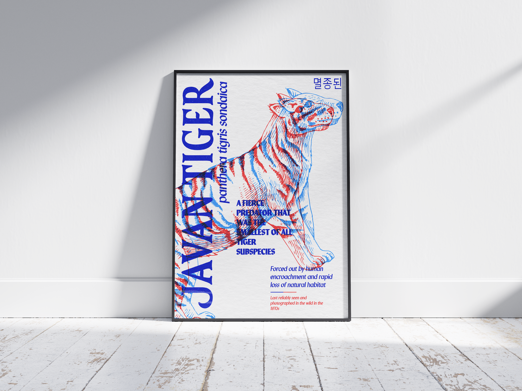 Vibrant anaglyph 3D Javan Tiger poster featuring the extinct feline (Panthera tigris sondaica) in bold red and blue colors. Powerful retro-style wildlife wall art, perfect for modern living rooms, bedrooms, or studies with an eclectic aesthetic.