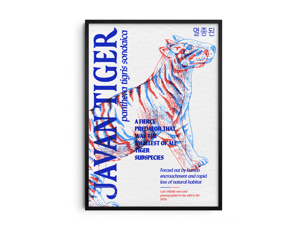 Vibrant anaglyph 3D Javan Tiger poster featuring the extinct feline (Panthera tigris sondaica) in bold red and blue colors. Powerful retro-style wildlife wall art, perfect for modern living rooms, bedrooms, or studies with an eclectic aesthetic.