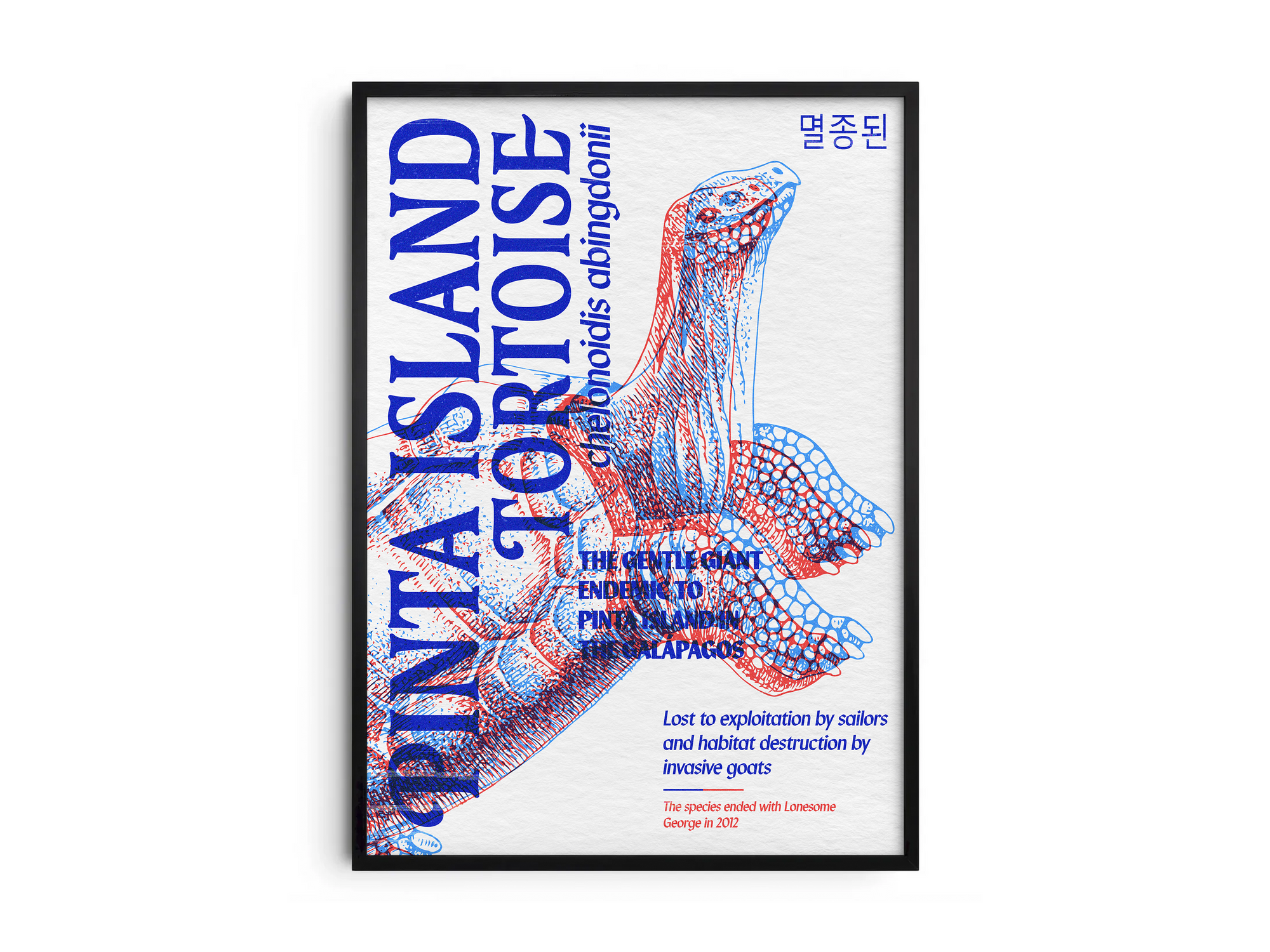 Vibrant anaglyph 3D Pinta Island Tortoise poster featuring the extinct giant tortoise of the Galapagos in bold blue and red colors. Unique retro-style conservation wall art, perfect for studies, libraries, or coastal-themed interiors.