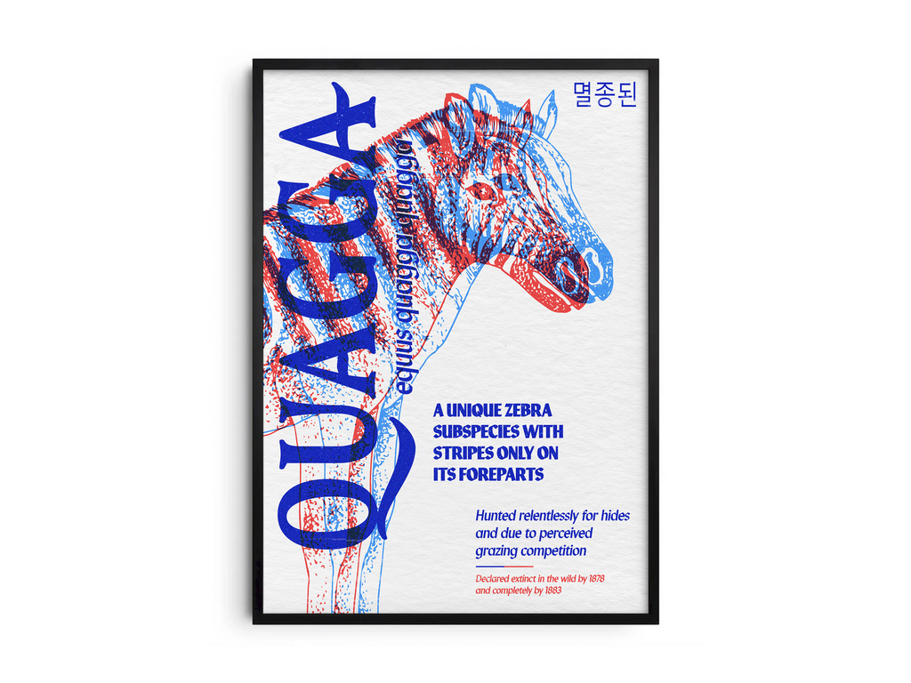 Vibrant anaglyph 3D Quagga poster featuring the extinct zebra subspecies in bold blue and red colors. Unique retro-style African wildlife wall art, perfect for home offices, studies, or eclectic interiors.