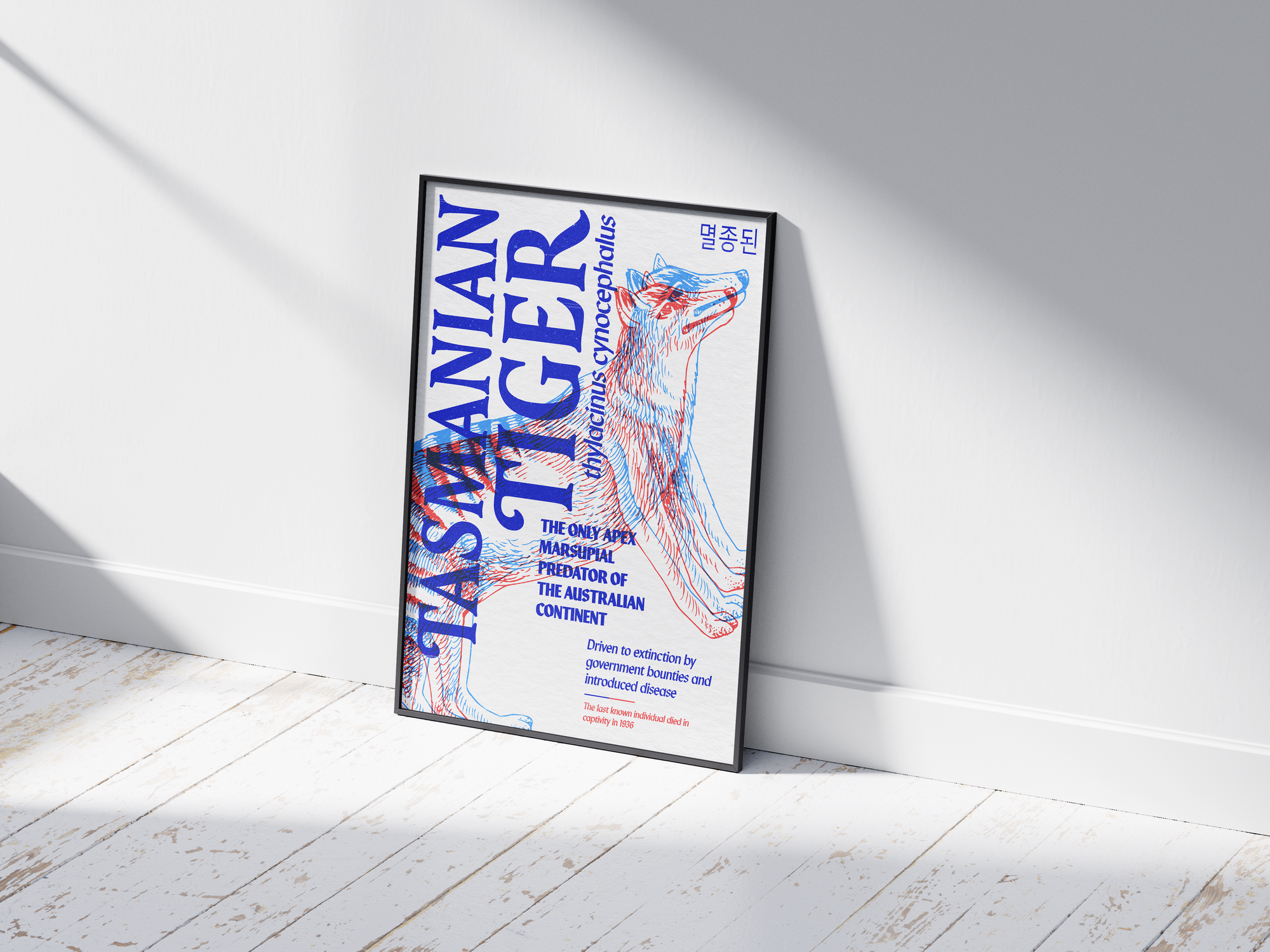 Vibrant anaglyph 3D Tasmanian Tiger poster featuring the extinct Thylacine in bold blue and red colors. Unique retro-style Australian wildlife wall art, perfect for home offices, media rooms, or studies.