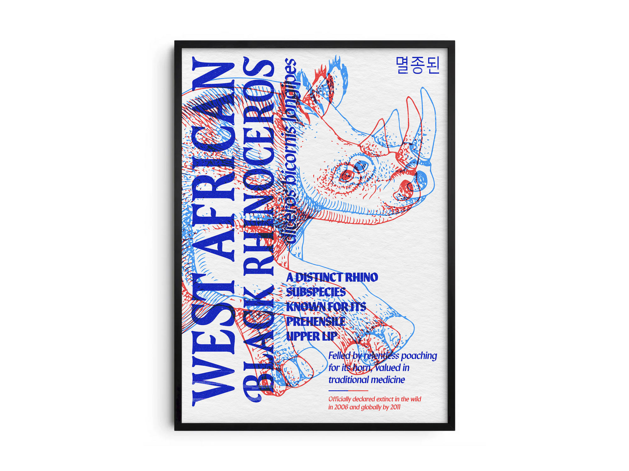 Vibrant anaglyph 3D West African Black Rhinoceros poster featuring the extinct subspecies in bold blue and red colors. Unique retro-style conservation wall art, perfect for home offices, studies, or modern interiors.