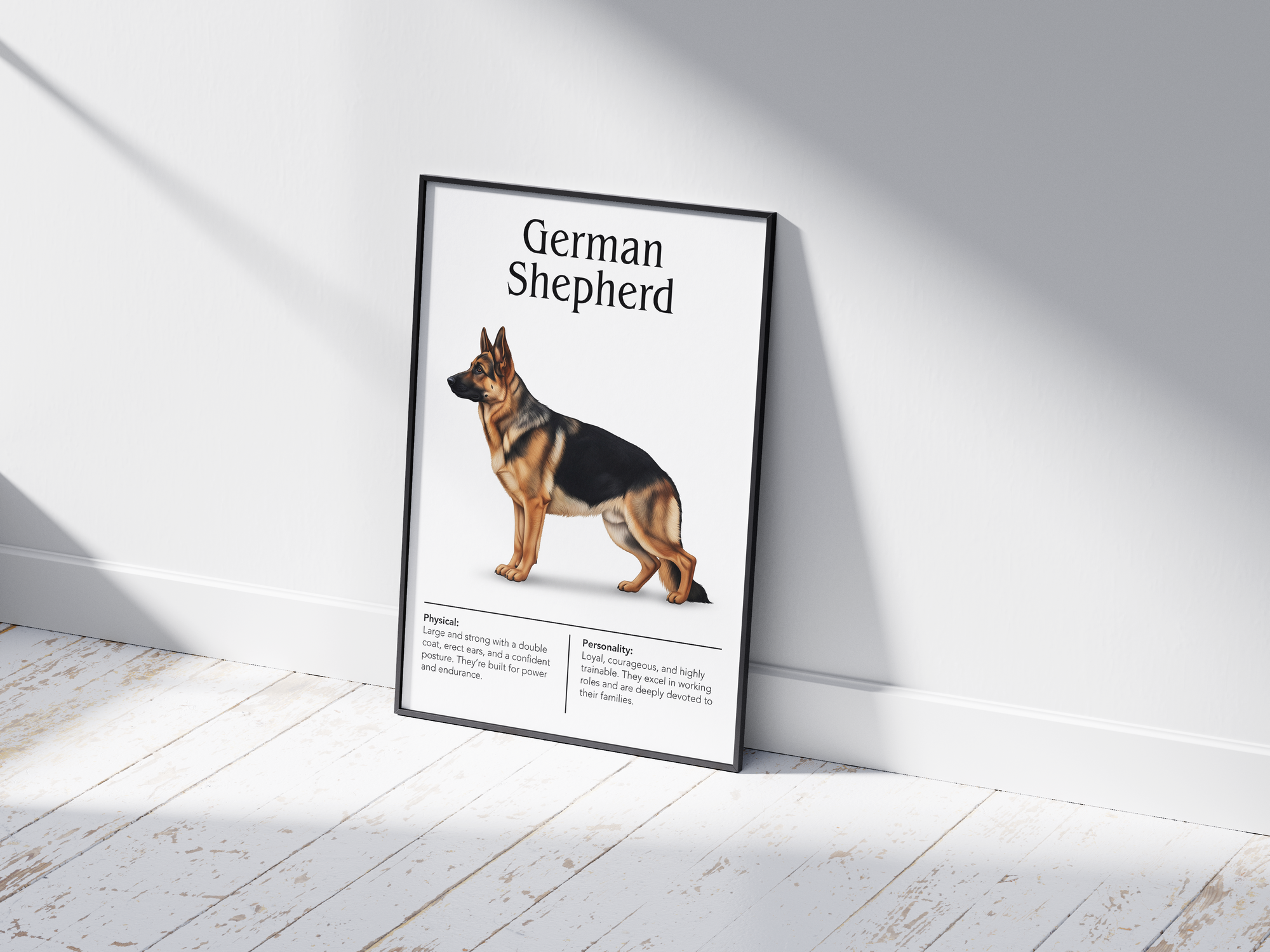 Detailed German Shepherd dog breed poster showcasing its strong physique and intelligent, loyal personality traits, printed on semi-gloss sustainable paper. Perfect wall art for studies, living rooms, or modern interiors with a dignified and powerful aesthetic.