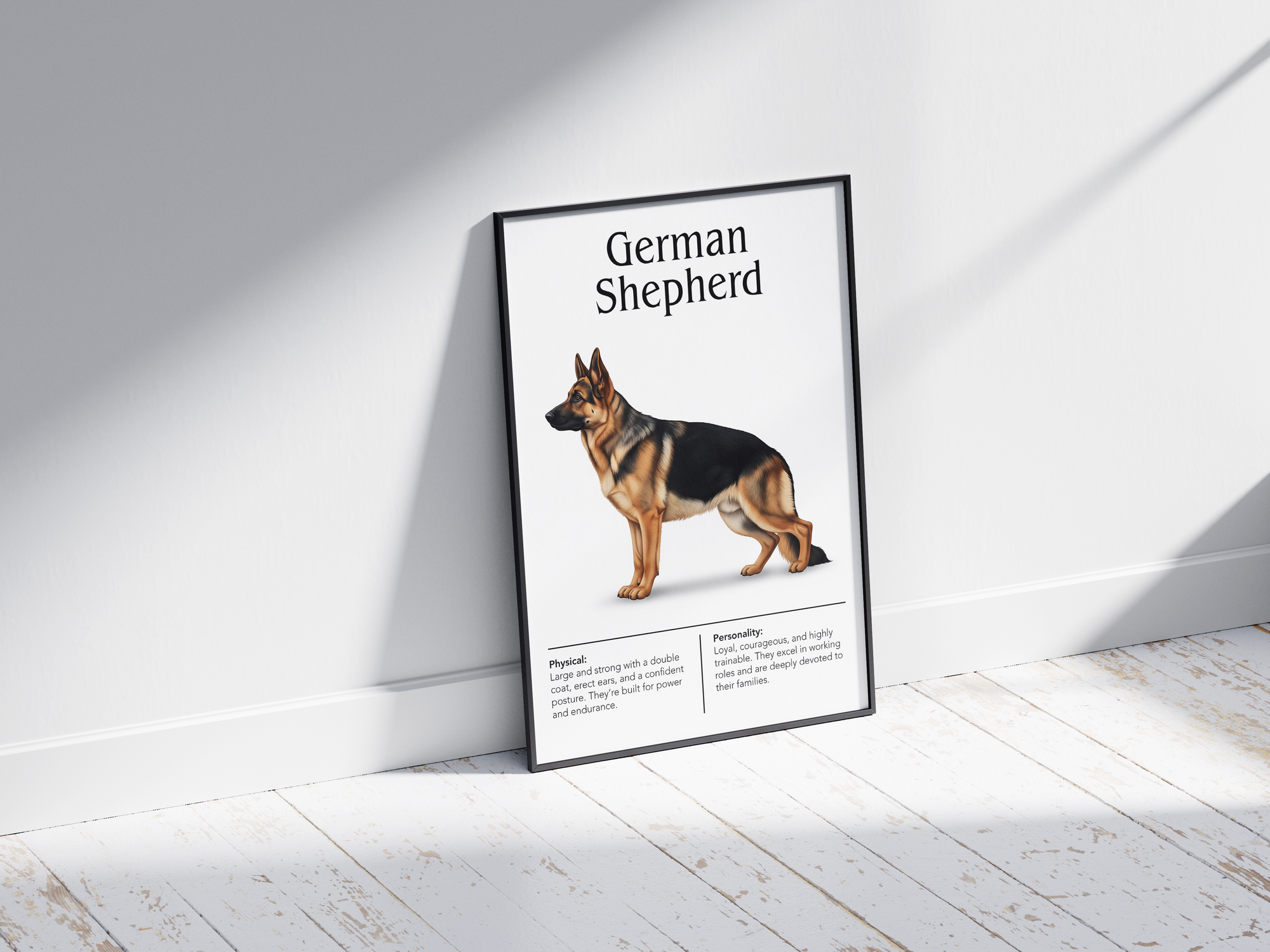 Detailed German Shepherd dog breed poster showcasing its strong physique and intelligent, loyal personality traits, printed on semi-gloss sustainable paper. Perfect wall art for studies, living rooms, or modern interiors with a dignified and powerful aesthetic.