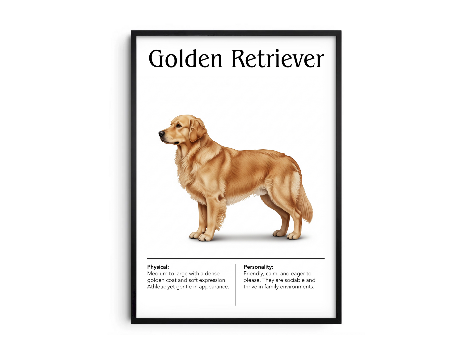 Detailed Golden Retriever dog breed poster showcasing its iconic coat and friendly, joyful personality traits, printed on semi-gloss sustainable paper. Perfect wall art for family rooms, living rooms, or modern interiors with a warm and inviting aesthetic.