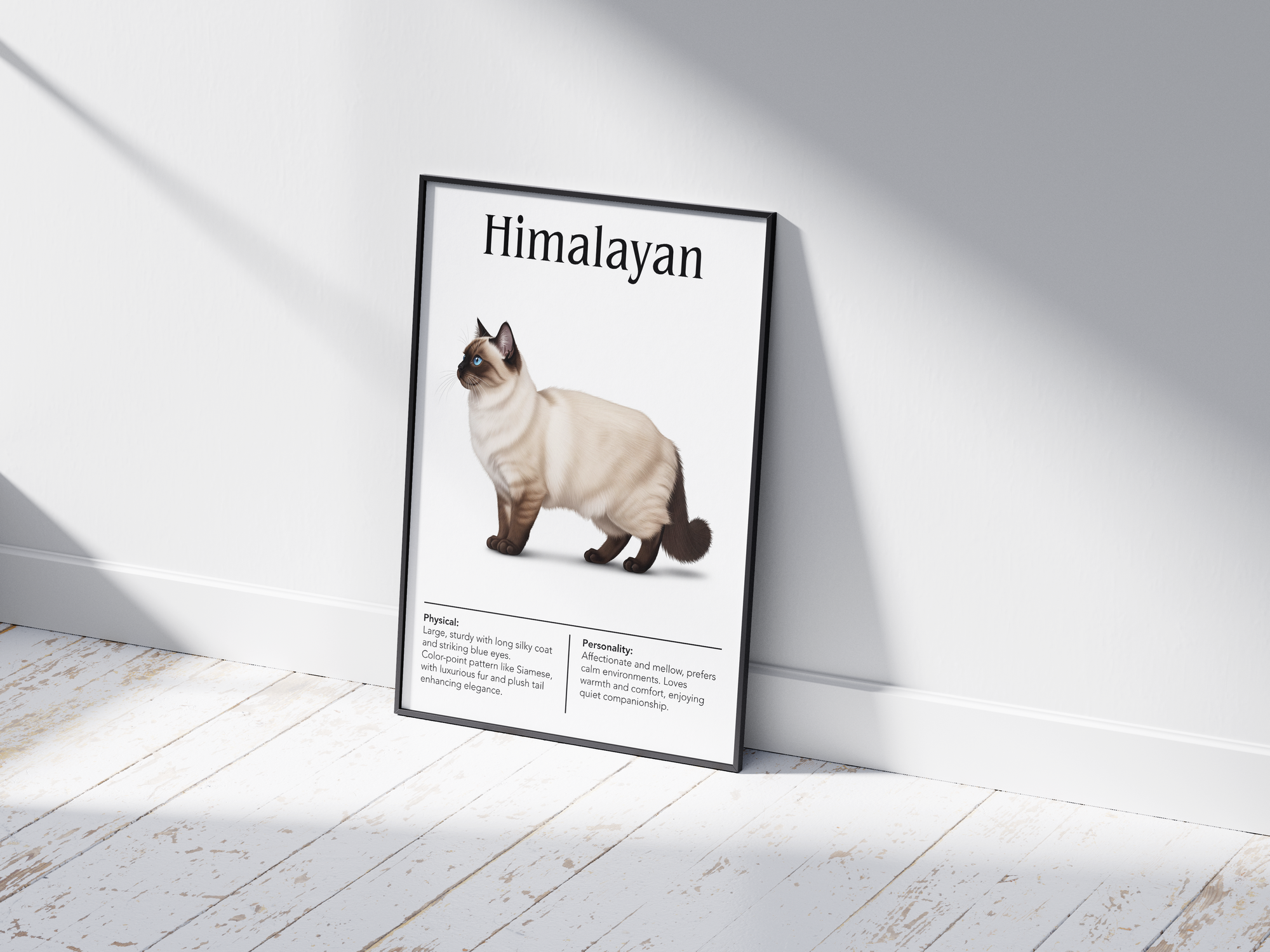 Elegant Himalayan cat breed poster featuring a detailed illustration of the cat with blue eyes and a color-point coat, printed on semi-gloss sustainable paper. Perfect wall art for living rooms, bedrooms, or classic interiors with a calm and refined aesthetic.