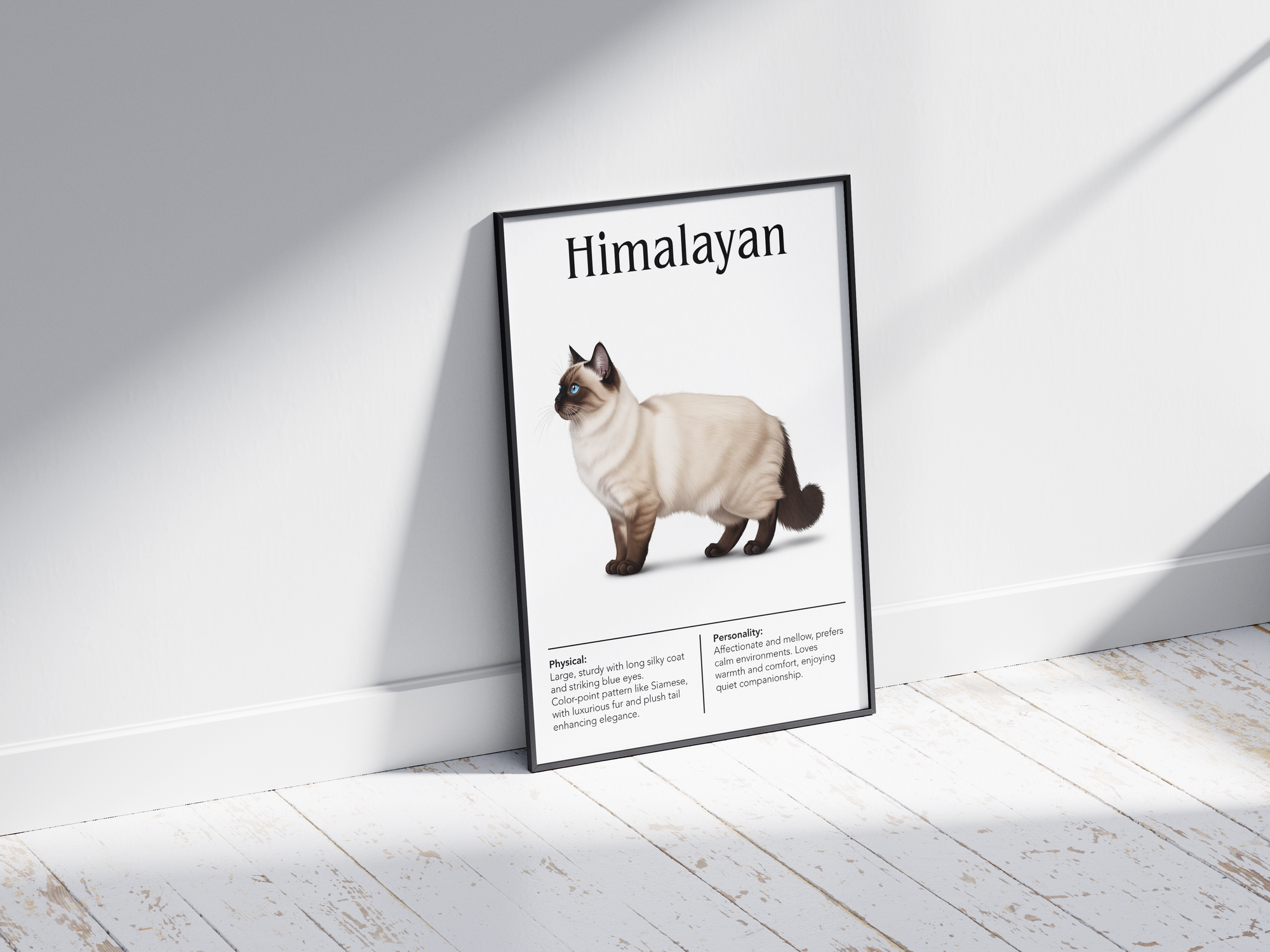 Elegant Himalayan cat breed poster featuring a detailed illustration of the cat with blue eyes and a color-point coat, printed on semi-gloss sustainable paper. Perfect wall art for living rooms, bedrooms, or classic interiors with a calm and refined aesthetic.