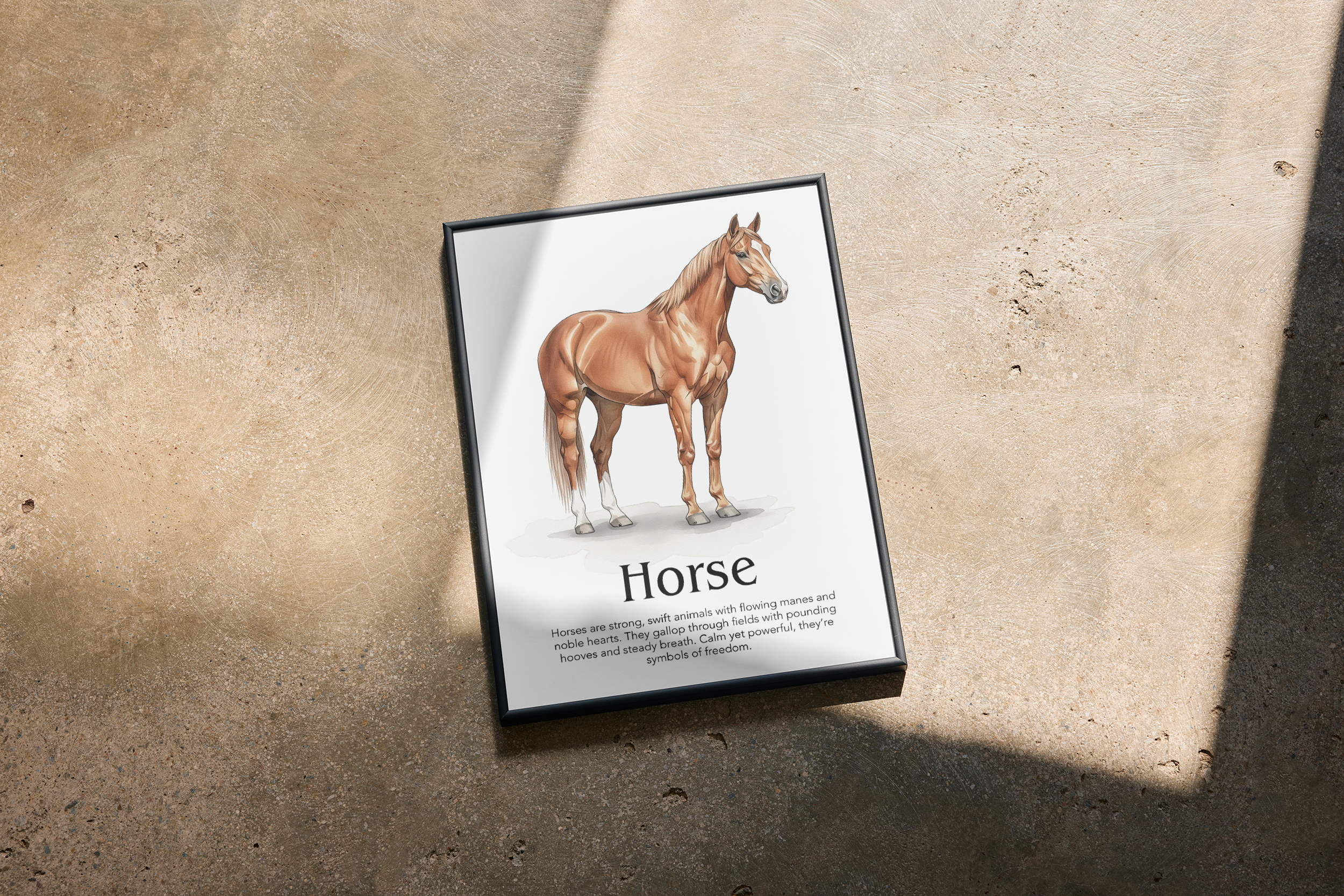 A framed print of a Horse illustration with text, "Horse," lying on a textured light brown or grey concrete-like surface, partially in shadow.
