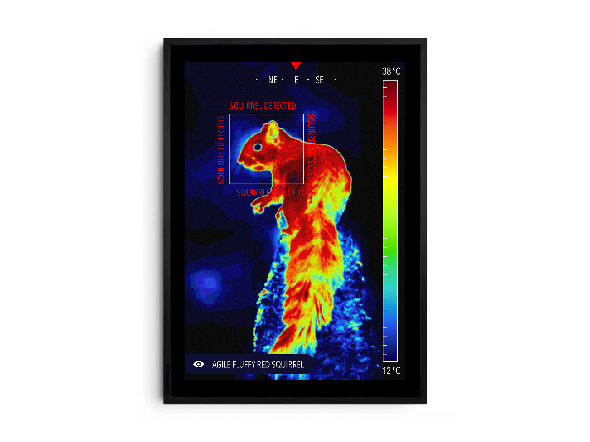 Modern infrared fluffy squirrel poster featuring a detailed wildlife illustration in vibrant thermal colors, printed on semi-gloss paper. Perfect wall art for living rooms, studies, or modern interiors with a unique, playful aesthetic.