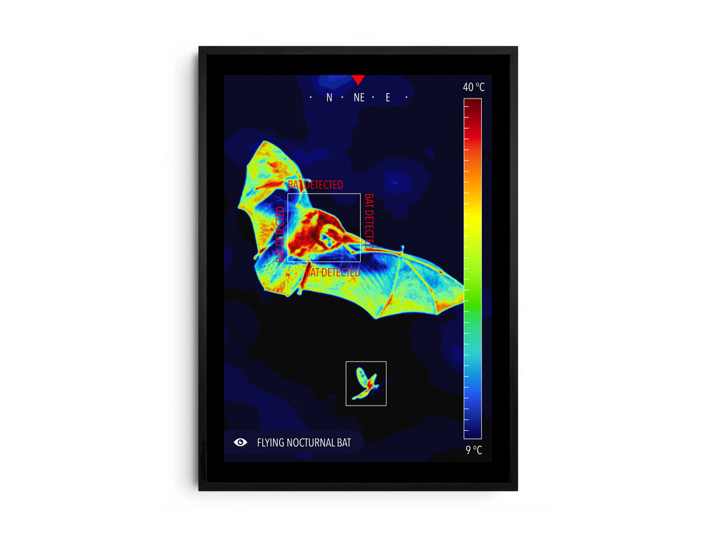 Modern infrared bat poster featuring a flying bat in vivid thermal colors, printed on semi-gloss paper. Perfect wall art for science enthusiasts, modern homes, or gallery walls with a unique, nocturnal aesthetic.