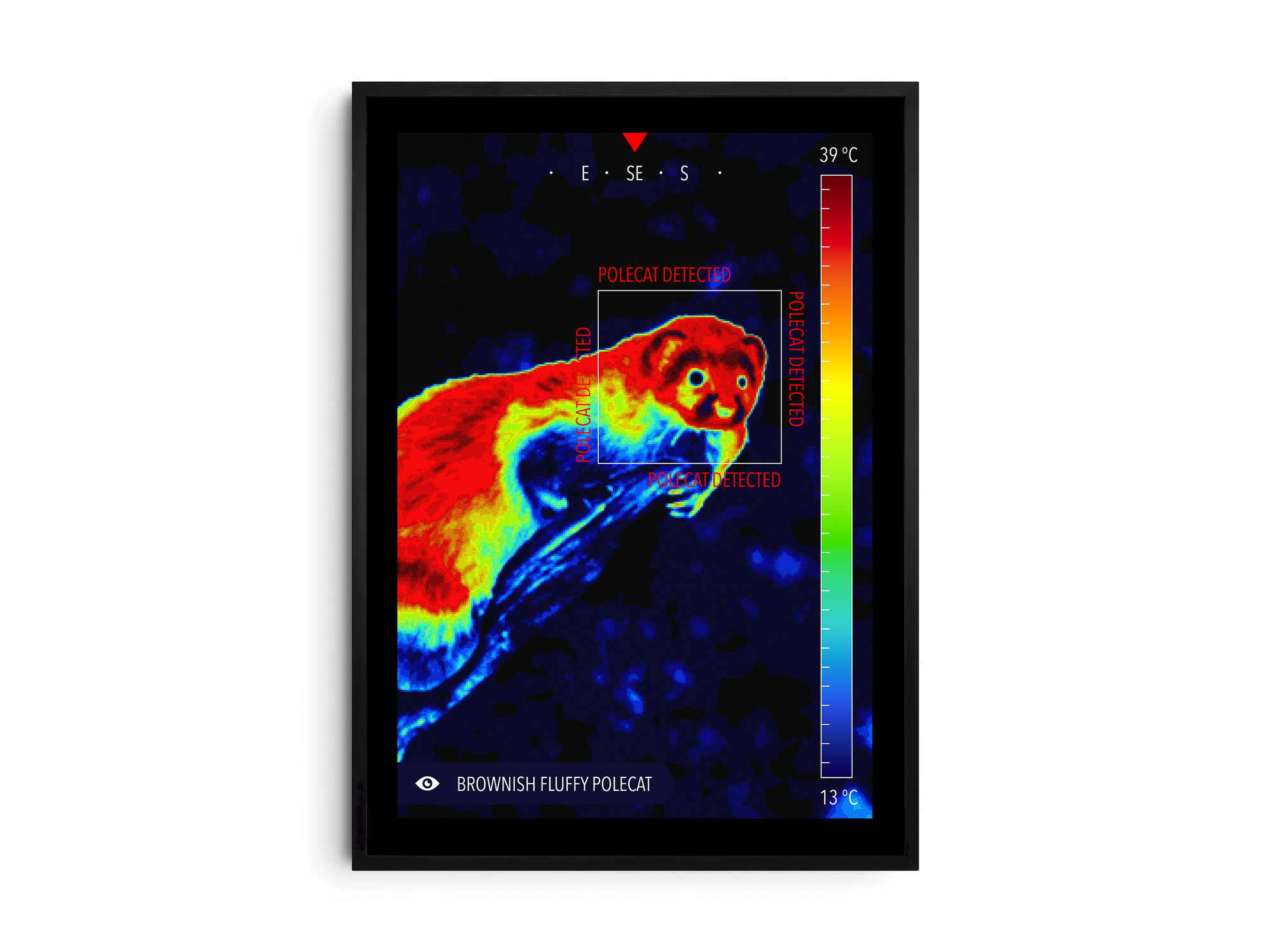 Modern infrared polecat poster featuring a detailed wildlife illustration in vibrant thermal colors, printed on semi-gloss paper. Perfect wall art for living rooms, studies, or modern interiors with a unique, wild aesthetic.