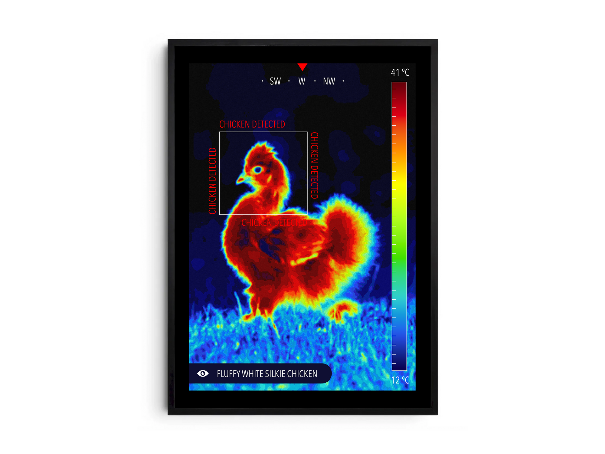 Modern infrared Silkie chicken poster featuring a fluffy chicken in vibrant thermal colors, printed on semi-gloss paper. Perfect wall art for kitchens, farmhouses, or modern homes with a cozy aesthetic.