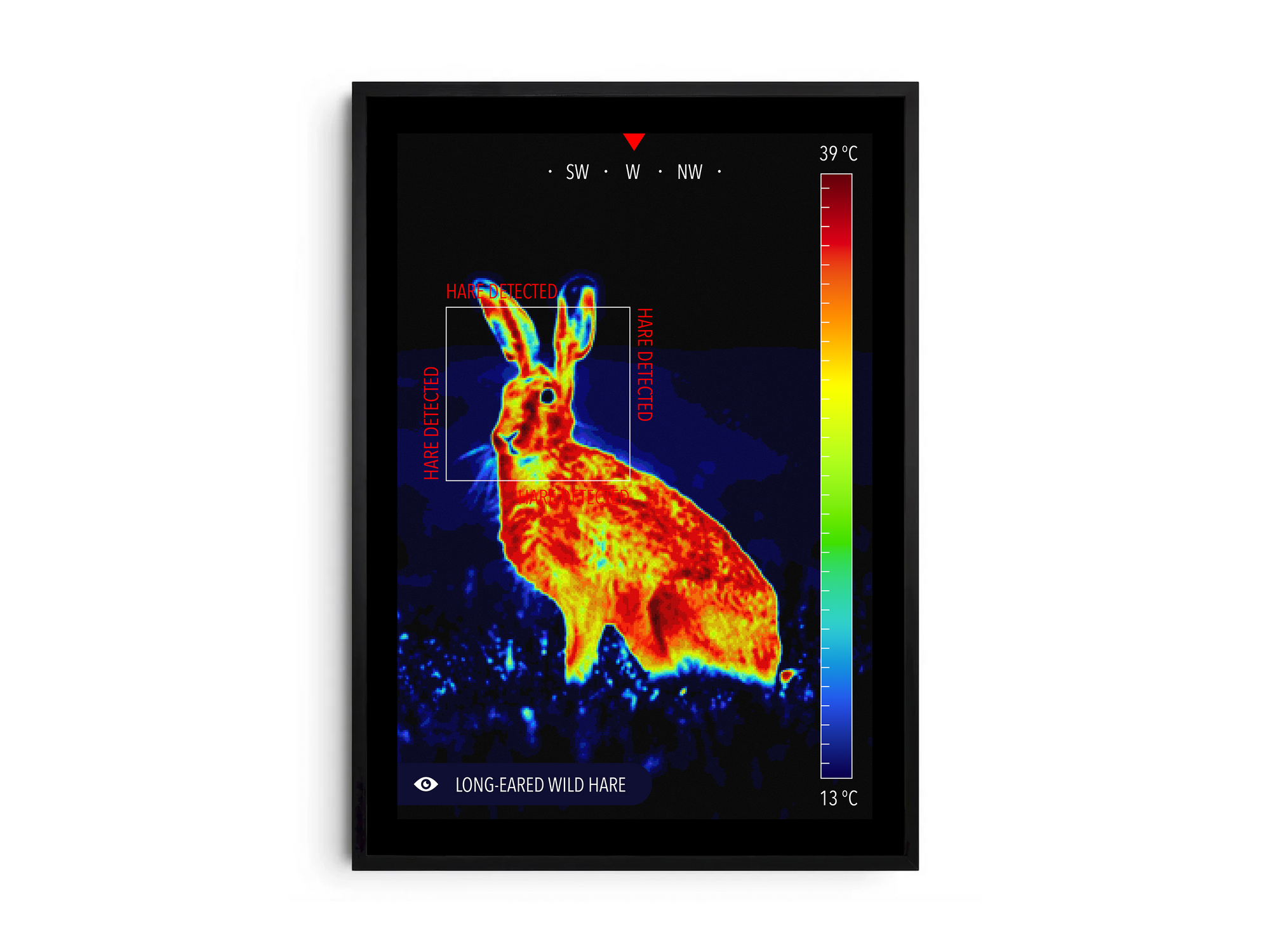 Modern infrared wild hare poster featuring a detailed wildlife illustration in vibrant thermal colors, printed on semi-gloss paper. Perfect wall art for living rooms, studies, or modern interiors with a calm, natural aesthetic.