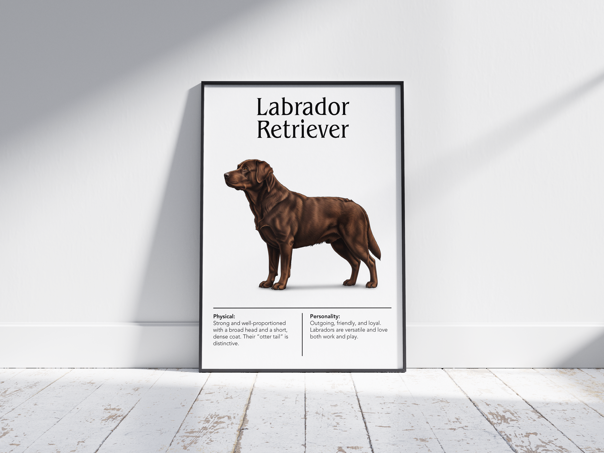Detailed Labrador Retriever dog breed poster showcasing its friendly expression and loyal, gentle personality traits, printed on semi-gloss sustainable paper. Perfect wall art for family rooms, living rooms, or modern interiors with a warm and inviting aesthetic.