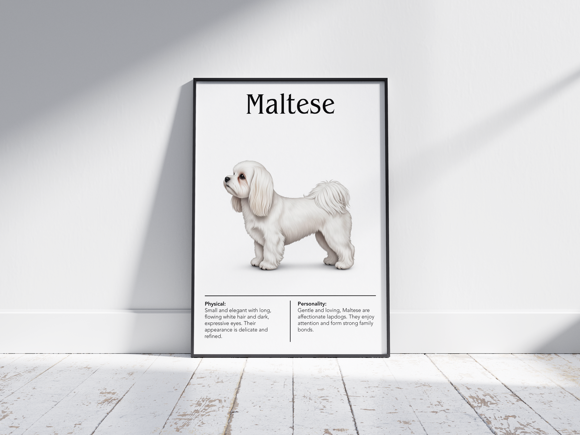 Detailed Maltese dog breed poster showcasing its luxurious white coat and gentle, cheerful personality traits, printed on semi-gloss sustainable paper. Perfect wall art for bedrooms, living rooms, or modern interiors with an elegant and affectionate aesthetic.
