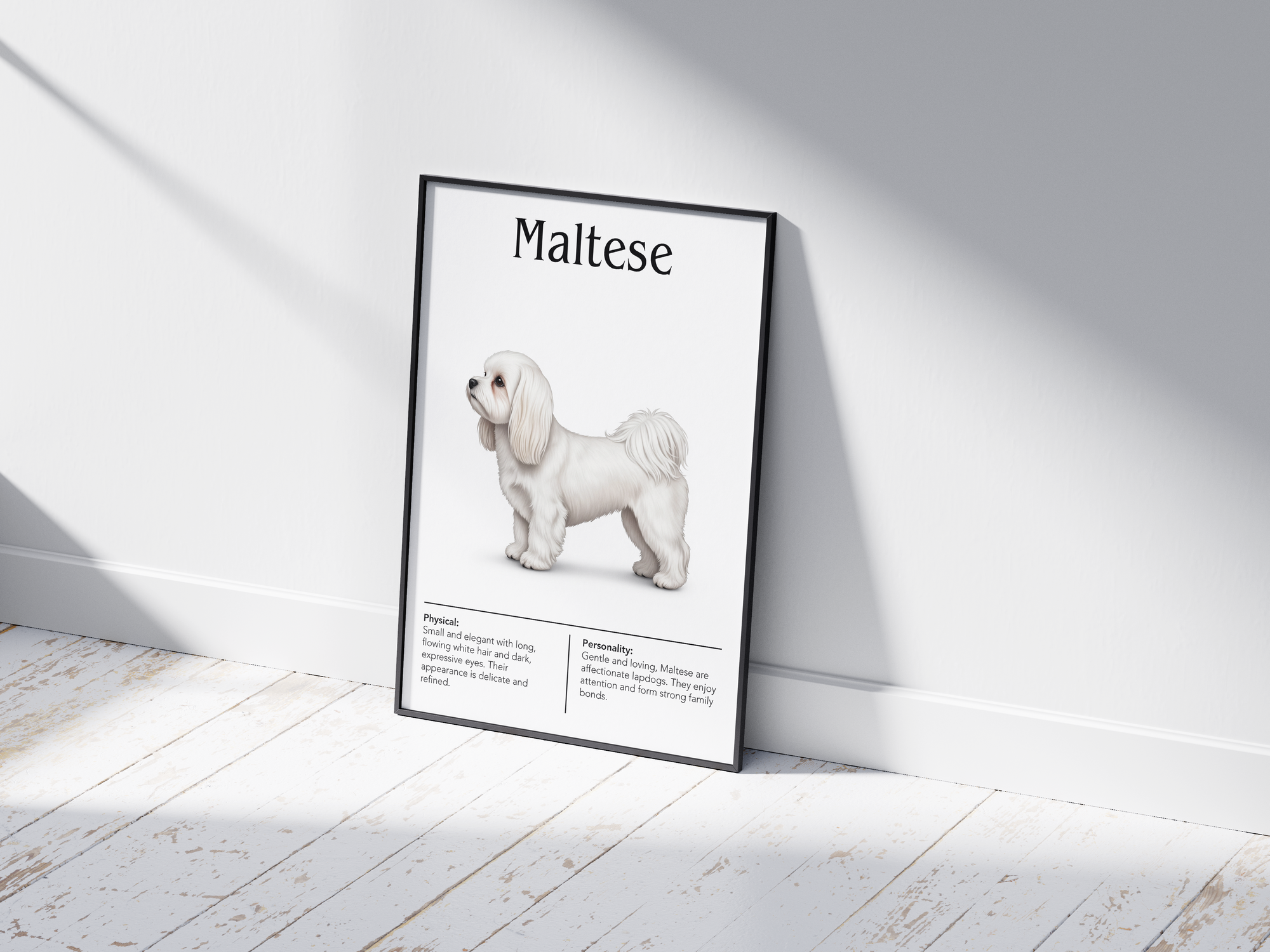 Detailed Maltese dog breed poster showcasing its luxurious white coat and gentle, cheerful personality traits, printed on semi-gloss sustainable paper. Perfect wall art for bedrooms, living rooms, or modern interiors with an elegant and affectionate aesthetic.
