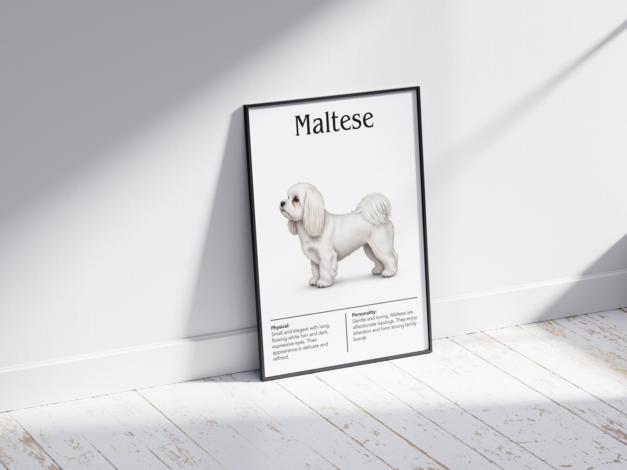 Detailed Maltese dog breed poster showcasing its luxurious white coat and gentle, cheerful personality traits, printed on semi-gloss sustainable paper. Perfect wall art for bedrooms, living rooms, or modern interiors with an elegant and affectionate aesthetic.