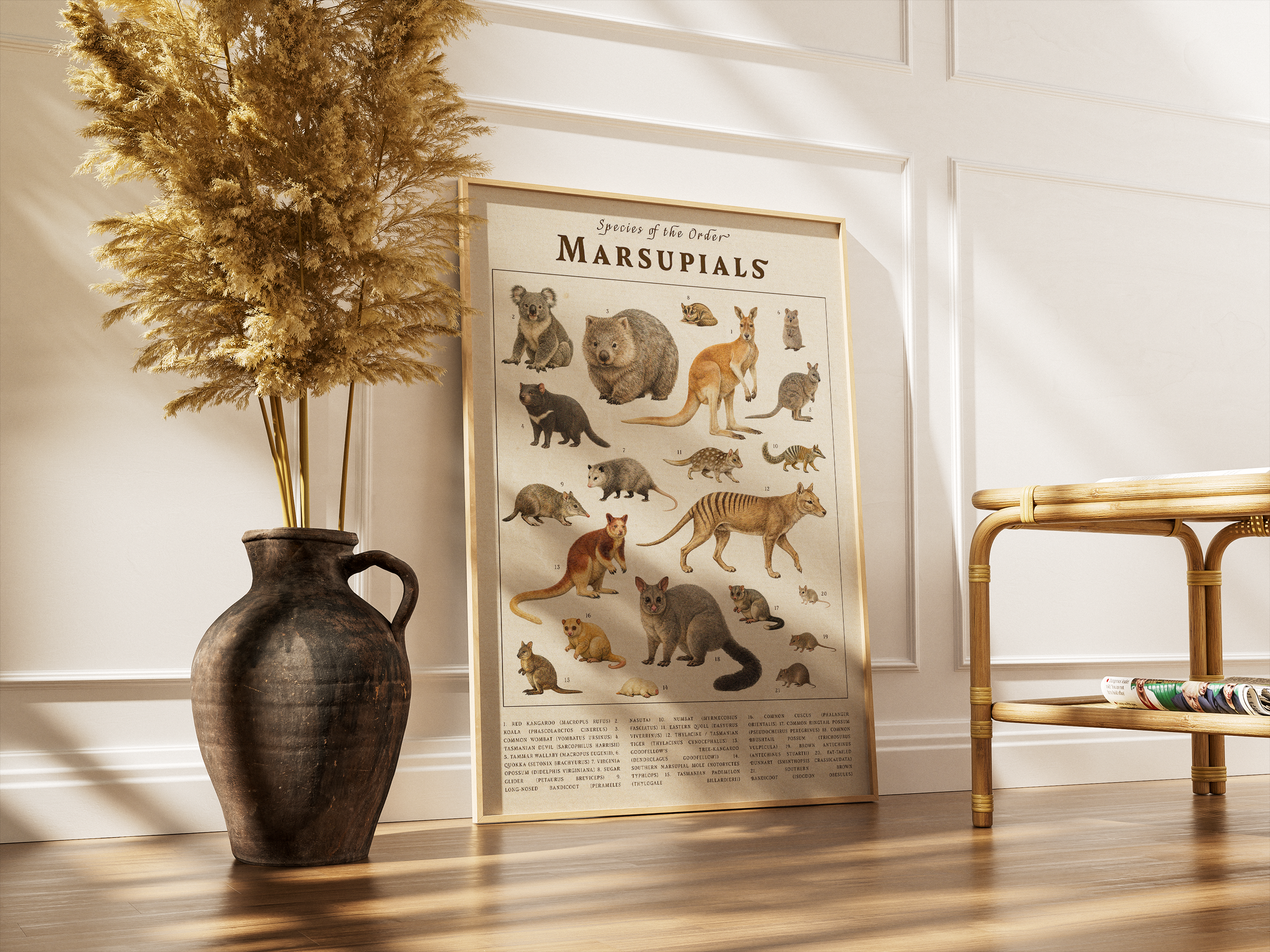 A large vertical poster titled "Marsupials" leaning against a white paneled wall on a wooden floor. The poster features illustrations of a koala, kangaroo, wombat, and Tasmanian tiger. A tall vase with dried pampas grass stands to the left.