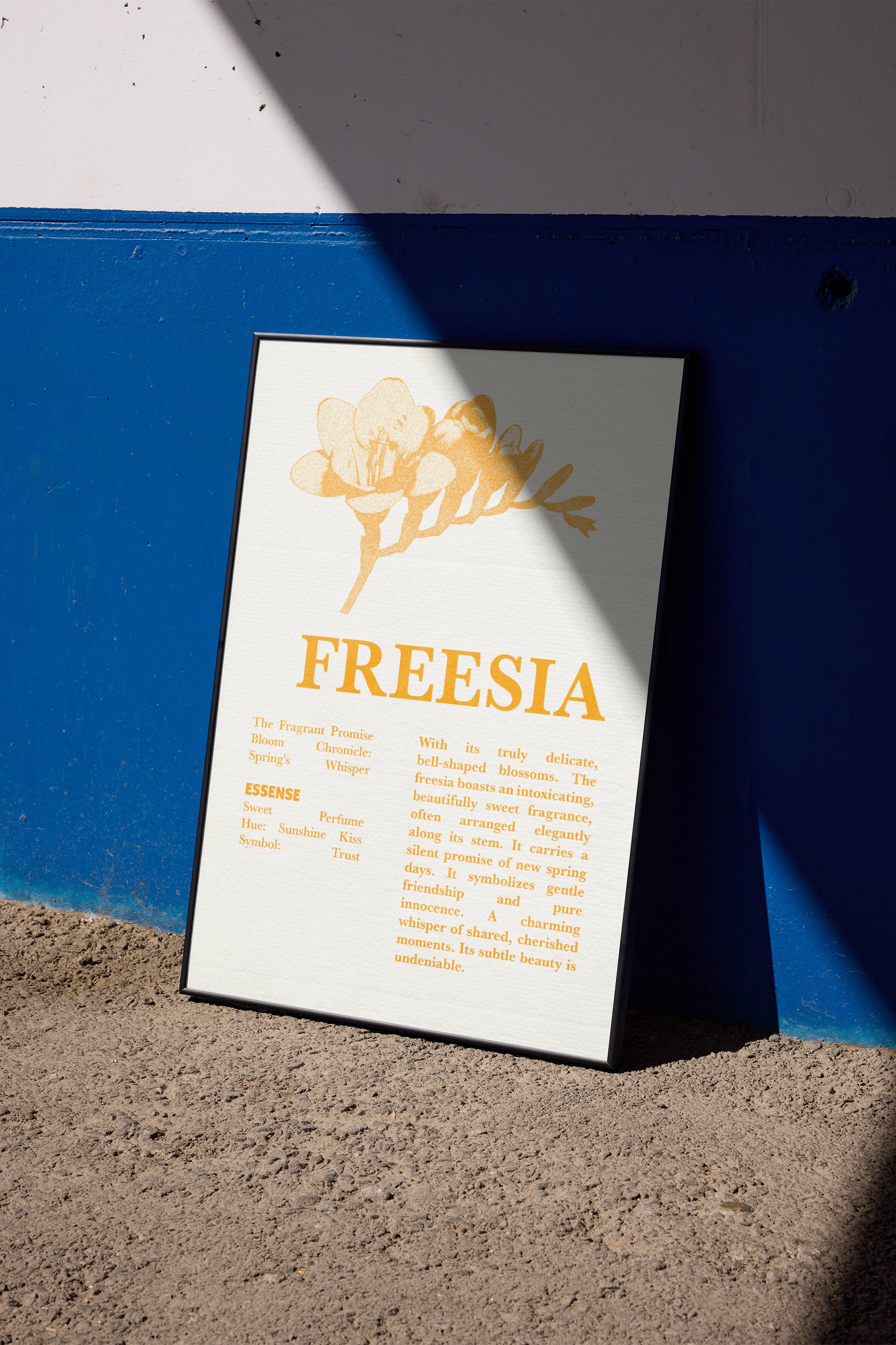 A framed print featuring a simple orange illustration of a freesia flower and the title "FREESIA," along with descriptive text, leaning on the ground against a vibrant royal blue wall.