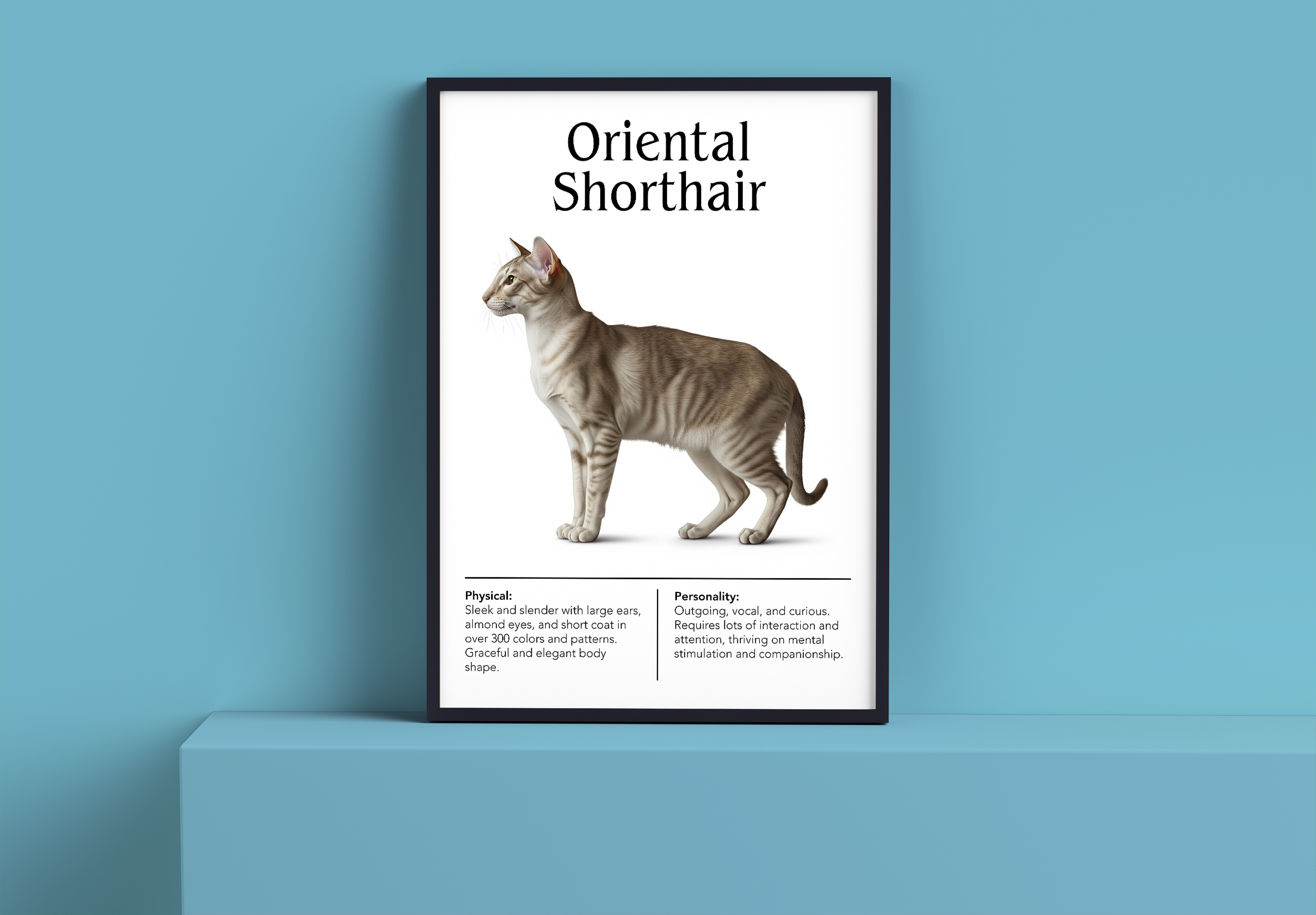 A black-framed poster featuring a striped Oriental Shorthair cat, displayed on a light blue shelf against a matching light blue wall.