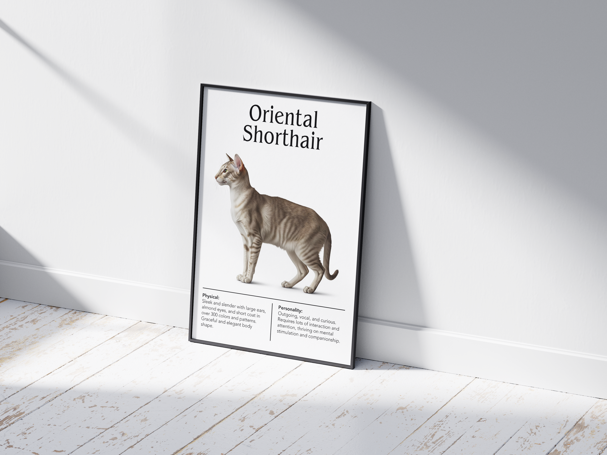 Striking Oriental Shorthair cat breed poster featuring a detailed illustration of its sleek body, large ears, and expressive eyes, printed on semi-gloss sustainable paper. Perfect wall art for modern living rooms, minimalist offices, or artistic interiors with a sophisticated and unique aesthetic.