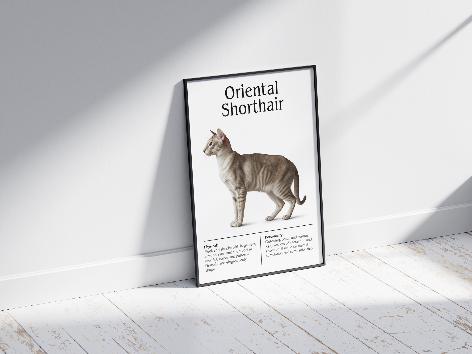 Striking Oriental Shorthair cat breed poster featuring a detailed illustration of its sleek body, large ears, and expressive eyes, printed on semi-gloss sustainable paper. Perfect wall art for modern living rooms, minimalist offices, or artistic interiors with a sophisticated and unique aesthetic.