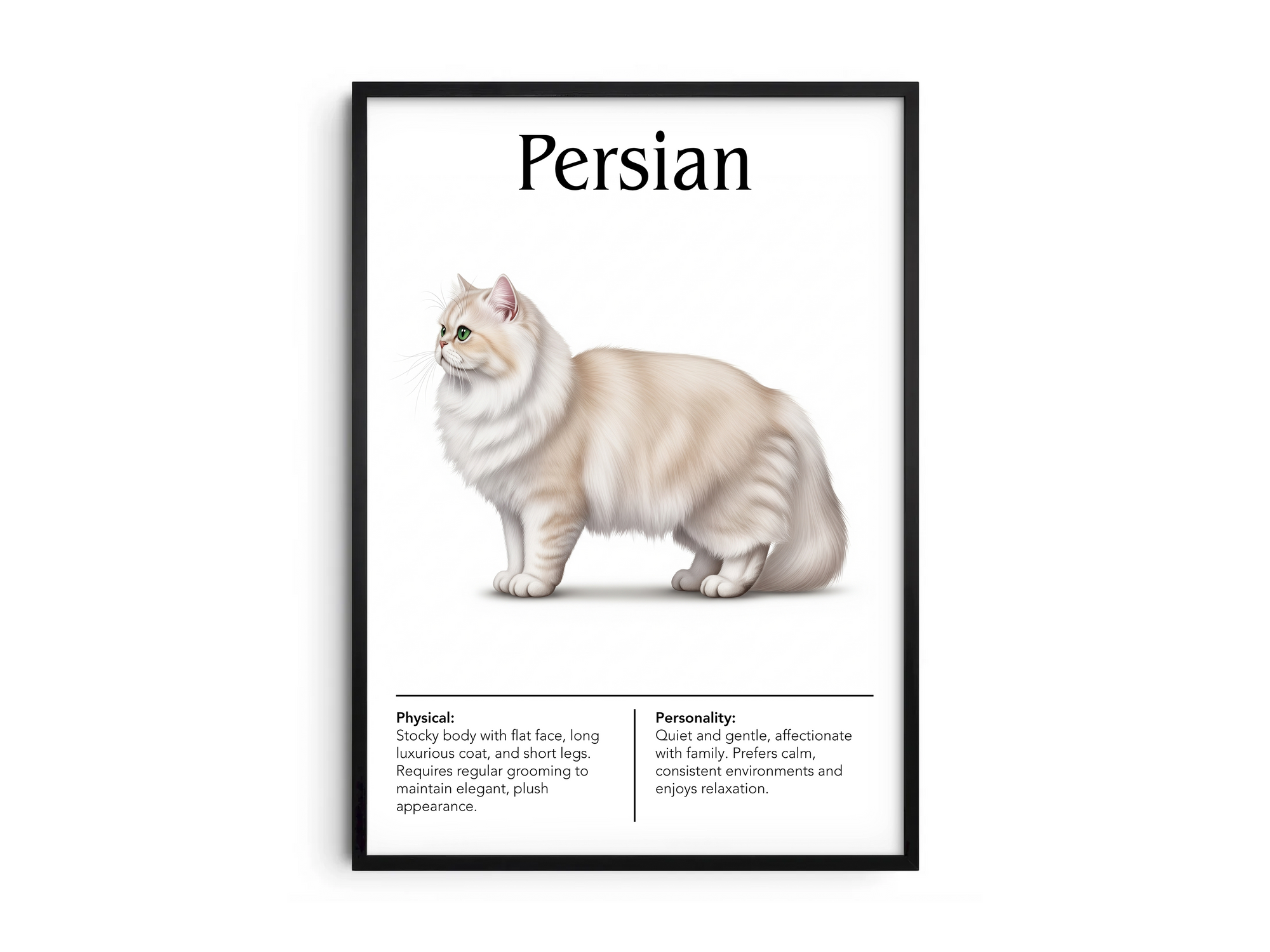 Luxurious Persian cat breed poster featuring a detailed illustration of its long, flowing coat and distinctive flat face, printed on semi-gloss sustainable paper. Perfect wall art for elegant living rooms, studies, or sophisticated interiors with a classic and serene aesthetic.