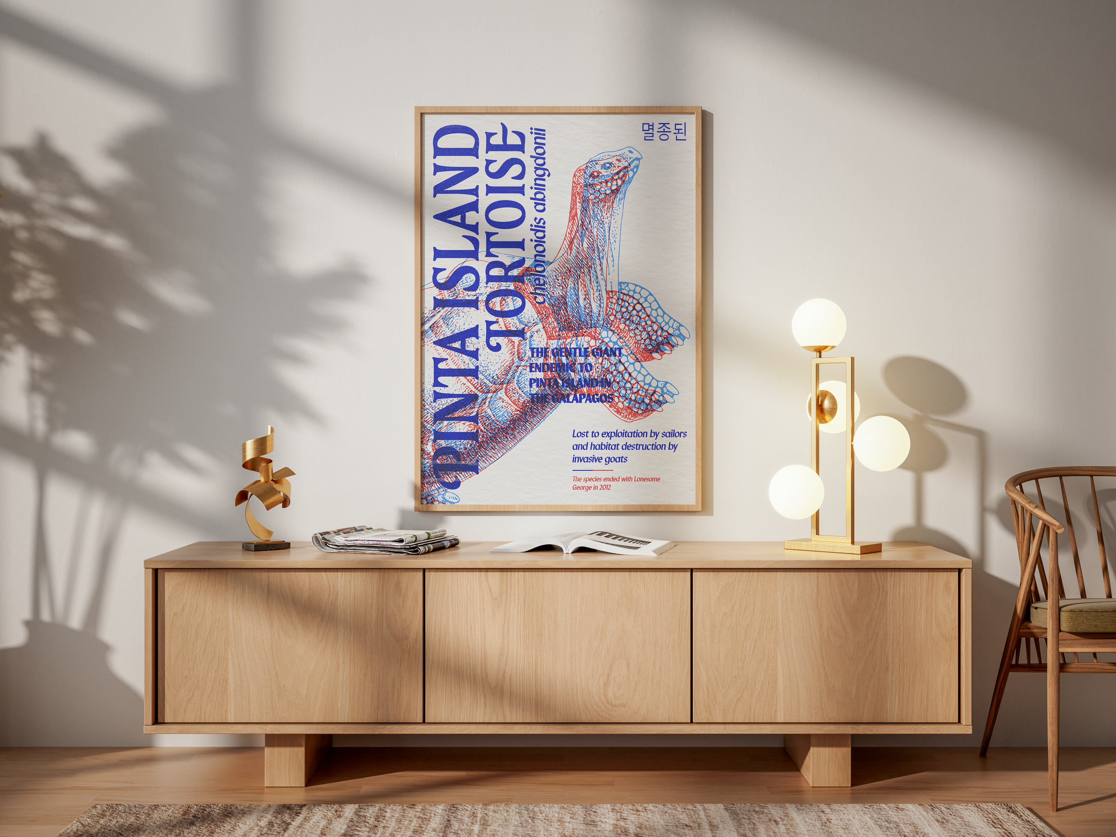 A framed poster of the Pinta Island Tortoise, Chelonoidis abingdonii, featuring a red and blue anaglyph illustration, resting on a light wood media console. The text identifies it as the "PINTA ISLAND TORTOISE" and mentions it was "Lost to exploitation by sailors and habitat destruction."