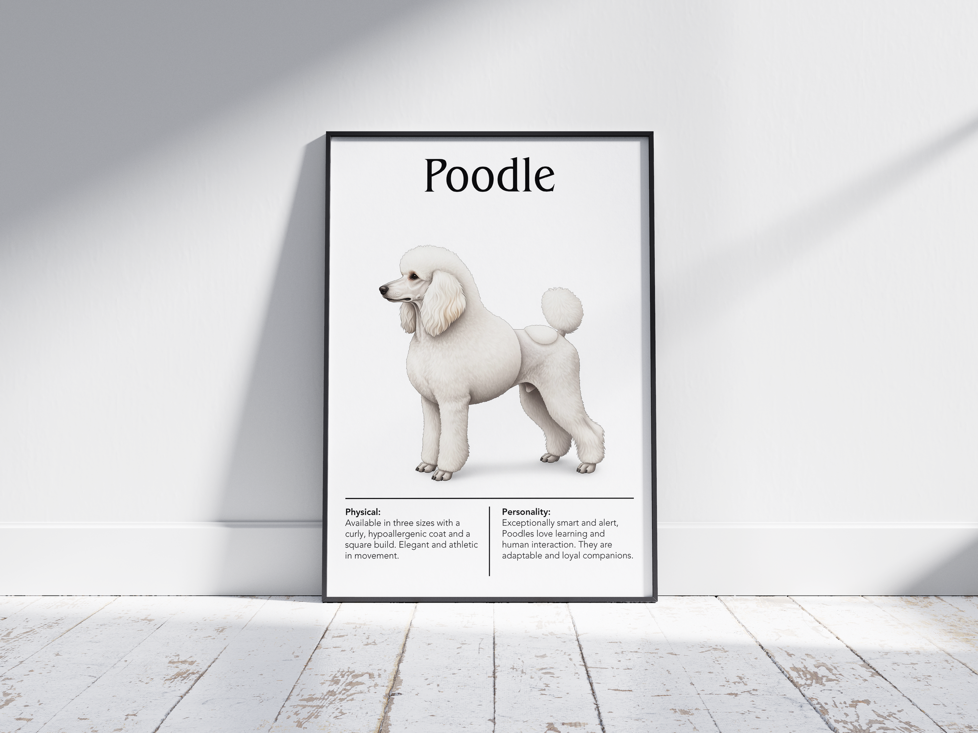 Detailed Poodle dog breed poster showcasing its distinctive curly coat and intelligent, dignified personality traits, printed on semi-gloss sustainable paper. Perfect wall art for living rooms, studies, or modern interiors with an elegant and sophisticated aesthetic.