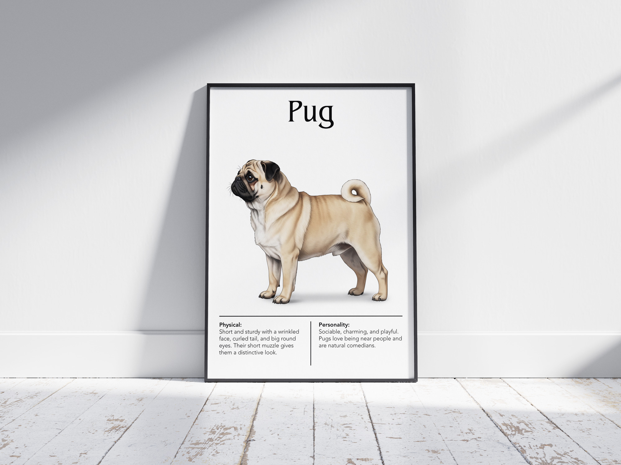 Detailed Pug dog breed poster showcasing its distinctive wrinkled face and charming, playful personality traits, printed on semi-gloss sustainable paper. Perfect wall art for living rooms, bedrooms, or modern interiors with a whimsical and endearing aesthetic.