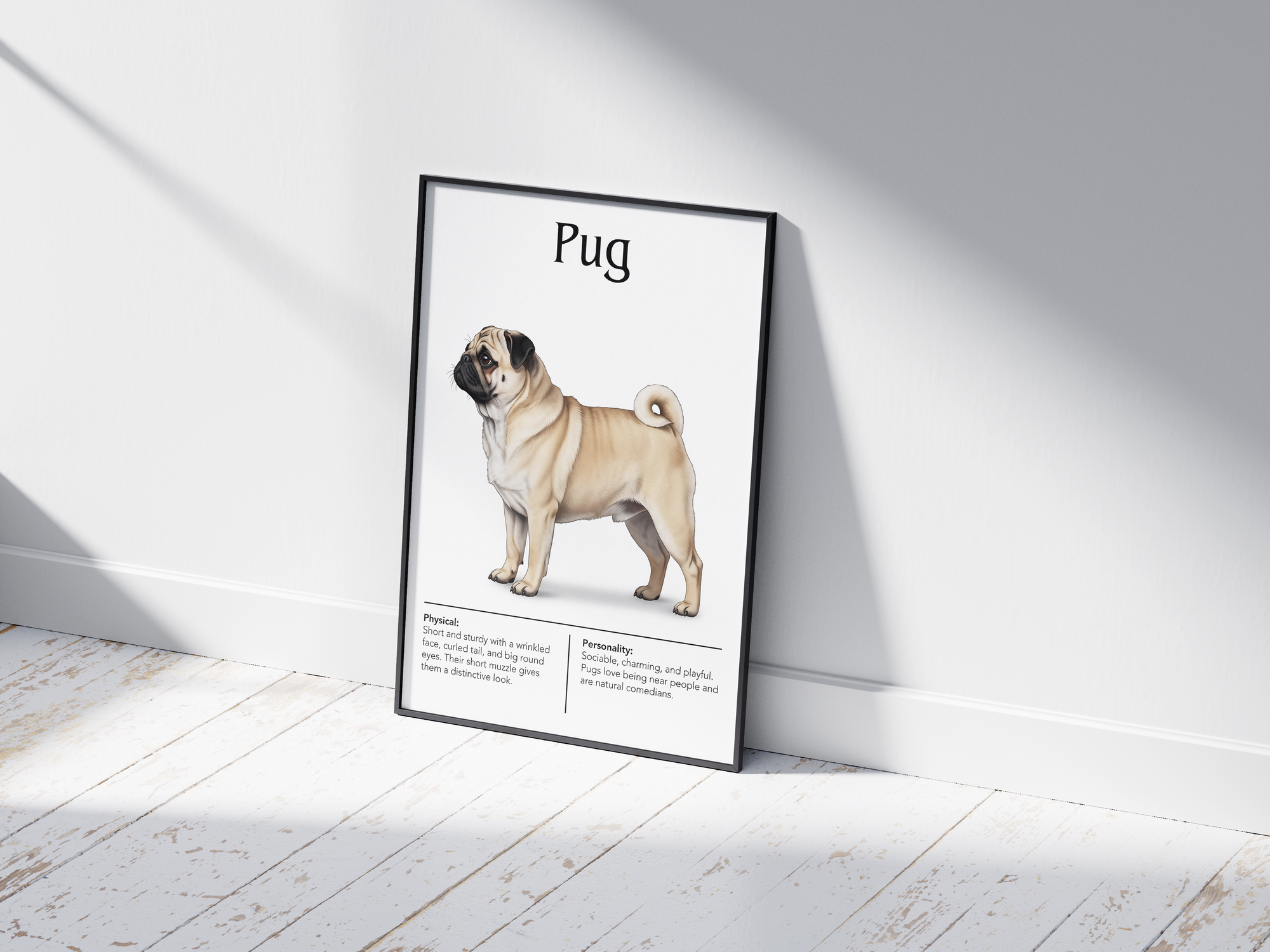 Detailed Pug dog breed poster showcasing its distinctive wrinkled face and charming, playful personality traits, printed on semi-gloss sustainable paper. Perfect wall art for living rooms, bedrooms, or modern interiors with a whimsical and endearing aesthetic.