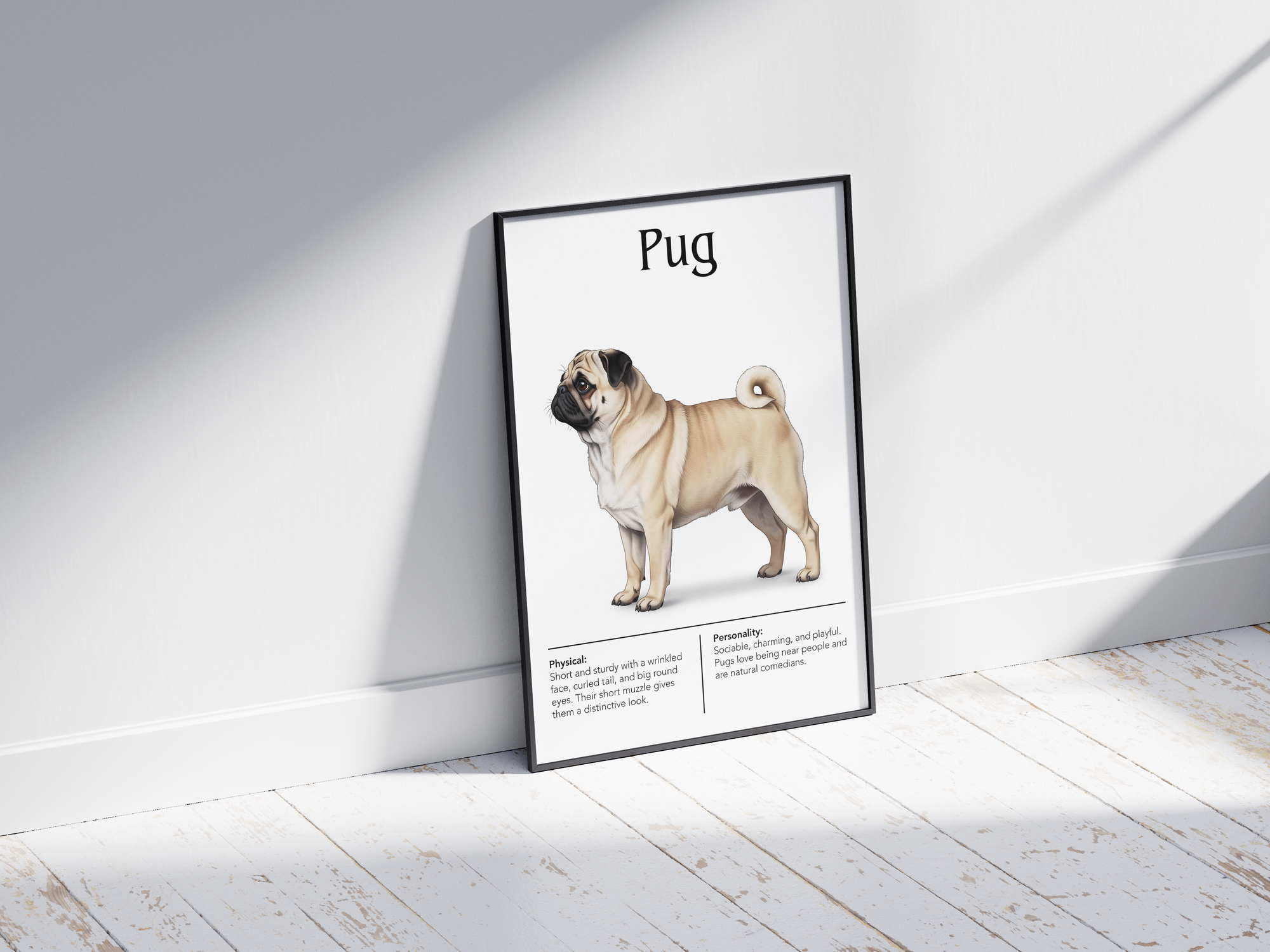 Detailed Pug dog breed poster showcasing its distinctive wrinkled face and charming, playful personality traits, printed on semi-gloss sustainable paper. Perfect wall art for living rooms, bedrooms, or modern interiors with a whimsical and endearing aesthetic.