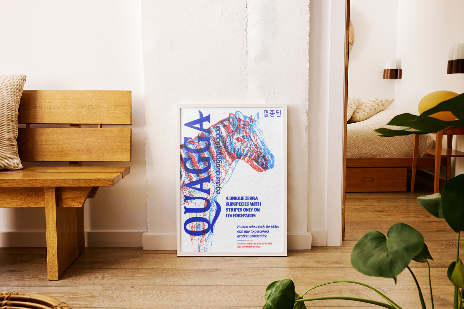 A framed poster of the Quagga, Equus quagga quagga, leaning against a white wall near a wooden bench in a bright, modern interior. The zebra-like animal is illustrated with red and blue lines, and the text reads "QUAGGA" and "A UNIQUE ZEBRA SUBSPECIES WITH STRIPES ONLY ON ITS FOREPARTS."