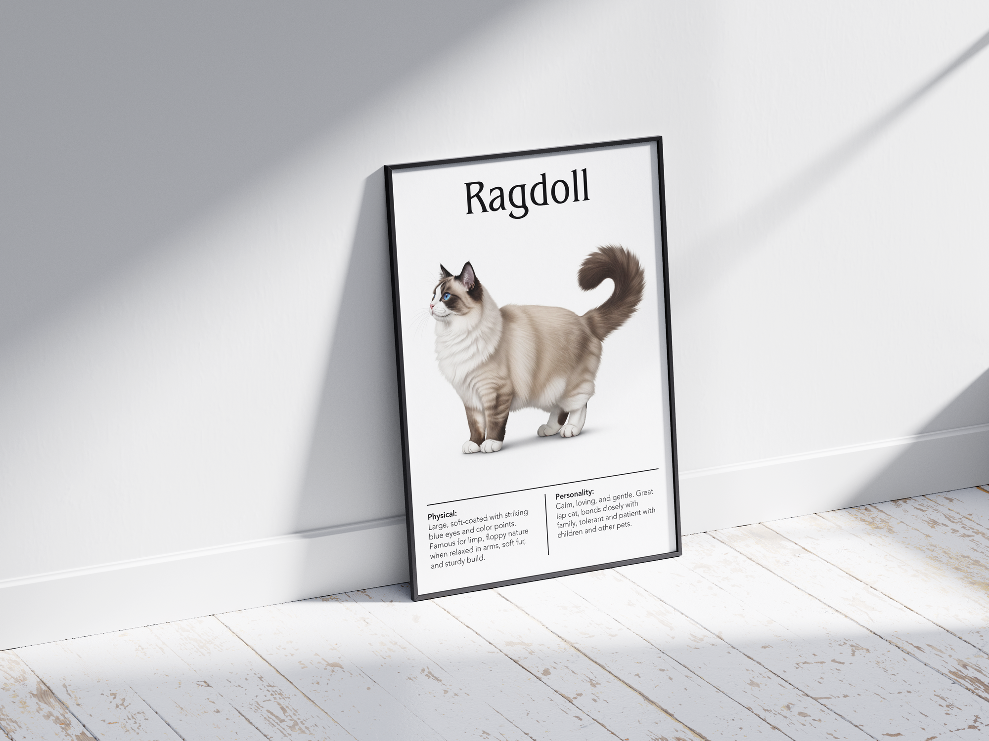 Gentle Ragdoll cat breed poster featuring a detailed illustration of its soft, semi-longhaired coat and striking blue eyes, printed on semi-gloss sustainable paper. Perfect wall art for cozy living rooms, peaceful bedrooms, or comforting interiors with a warm and affectionate aesthetic.