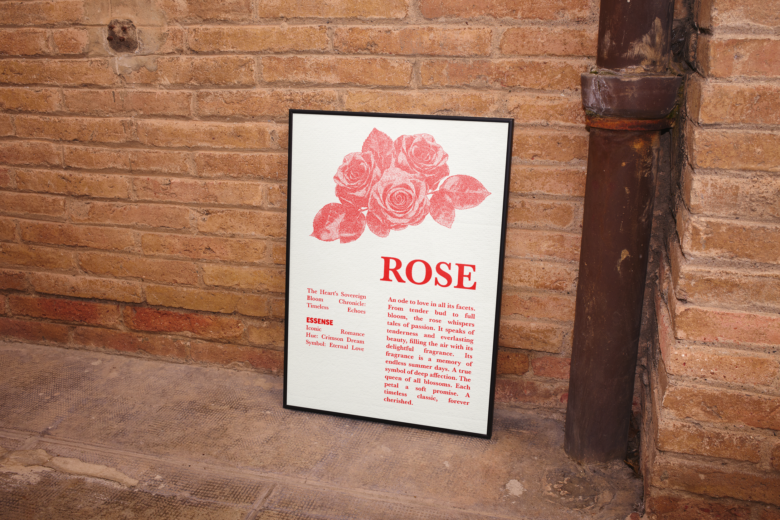 A black-framed poster featuring a red, stipple-style illustration of three roses with leaves, the title "ROSE," and a poetic description of its symbolism, leaning on the ground against a textured brick wall next to a rusty pipe.